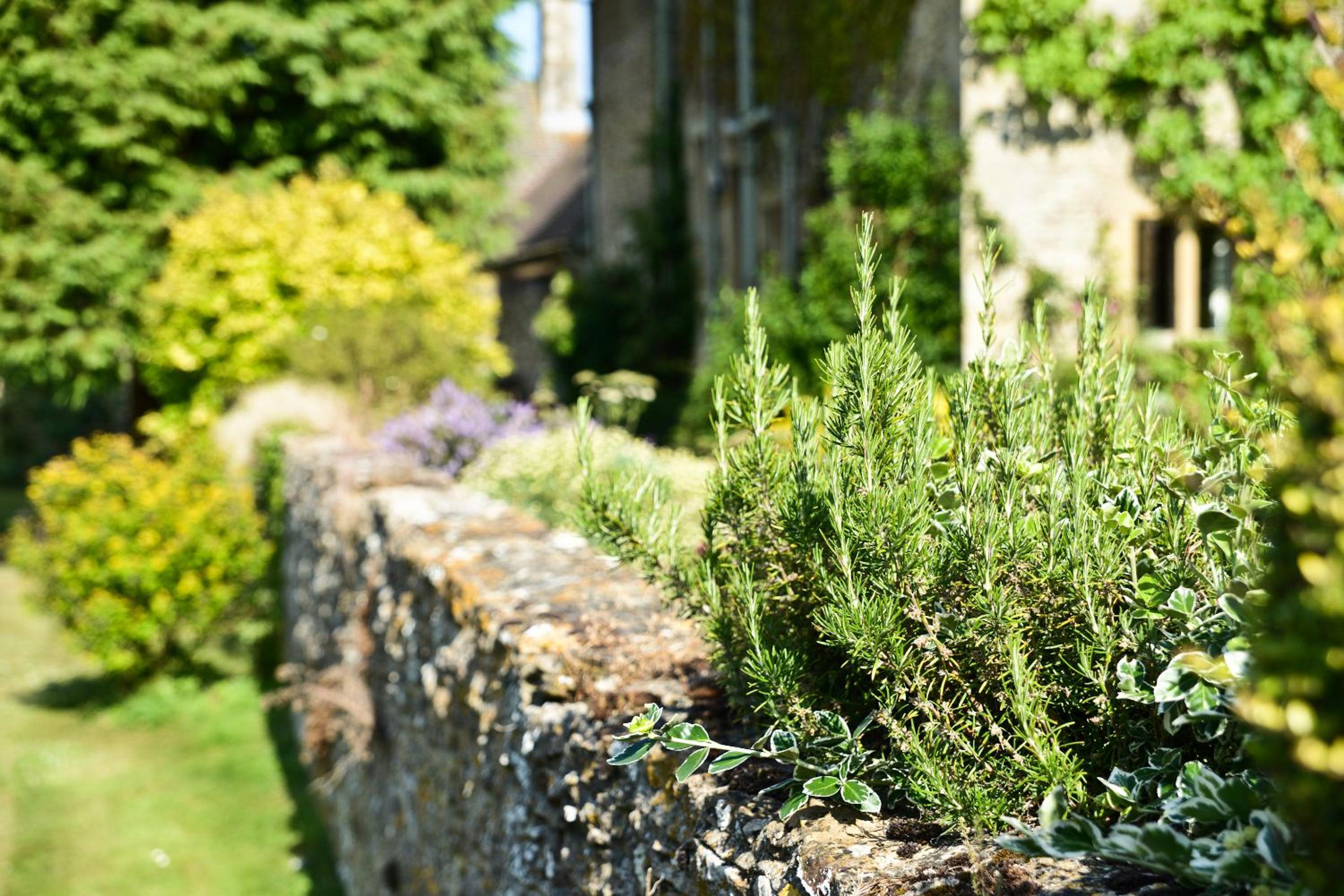 Charney Manor