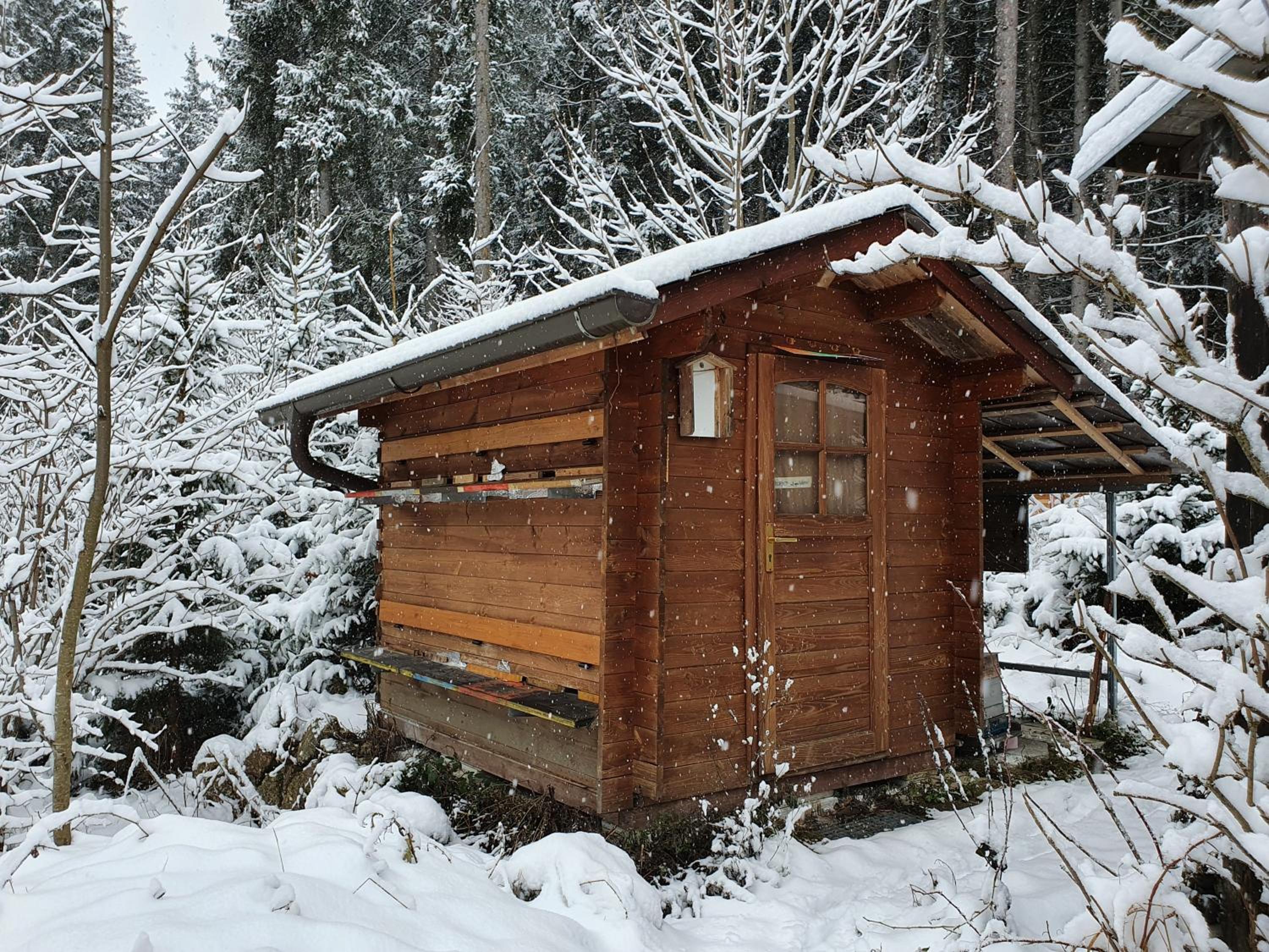 Ferienhaus Böhm am Bärentrail