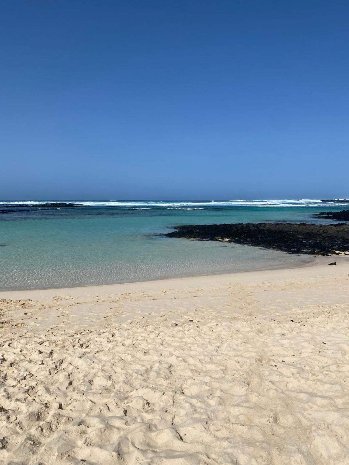 Cotillo