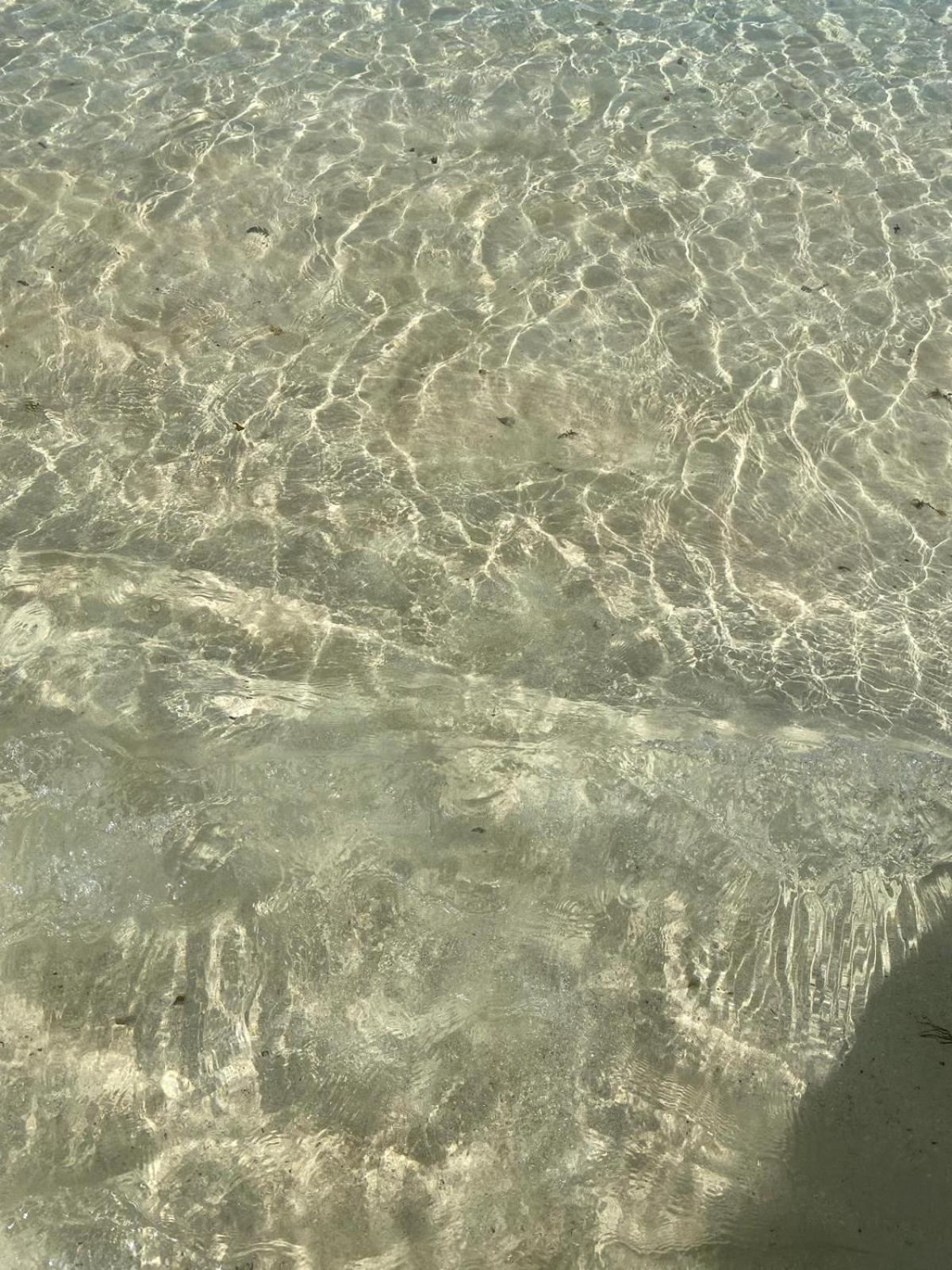 Cotillo
