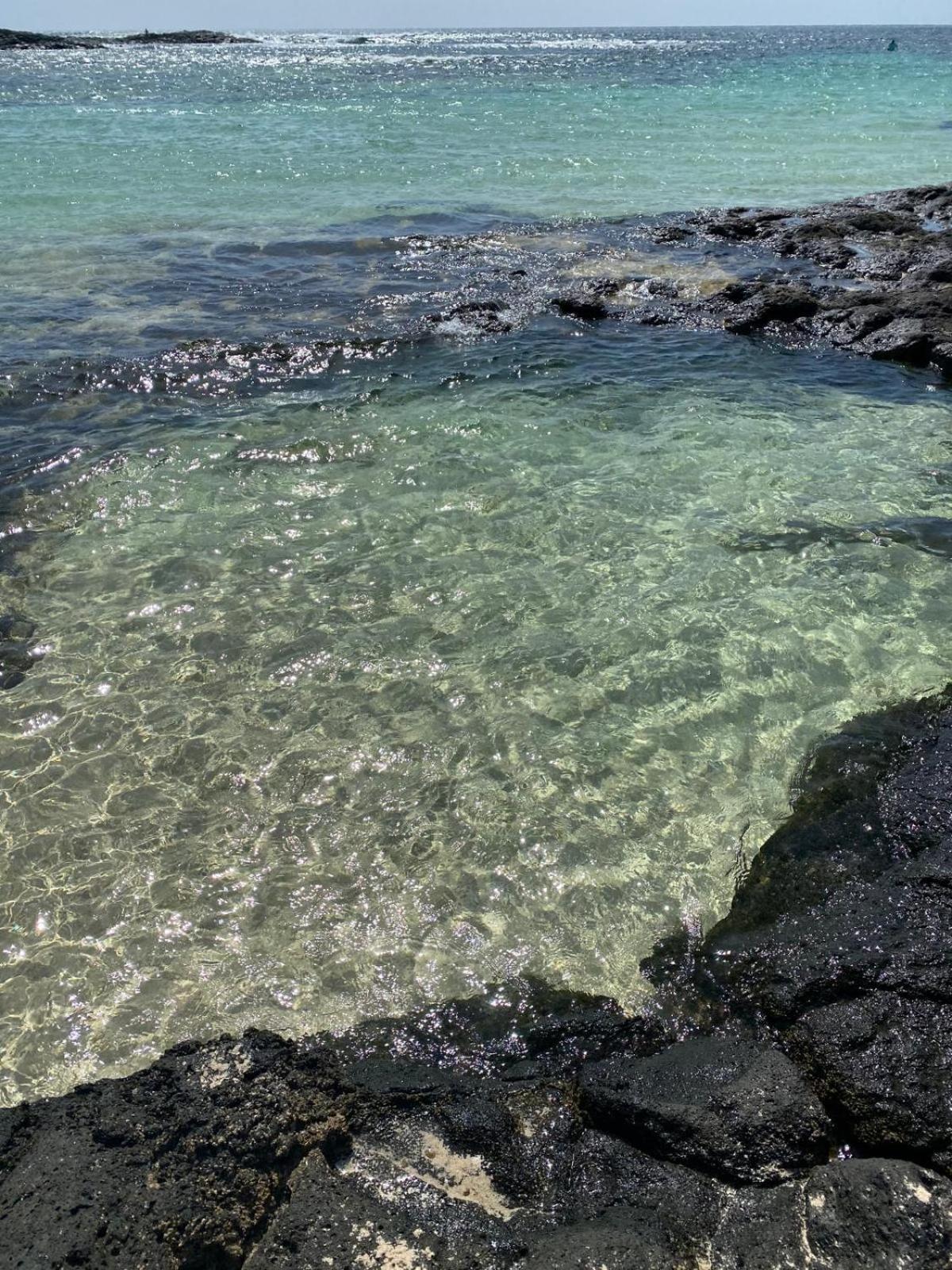 Cotillo