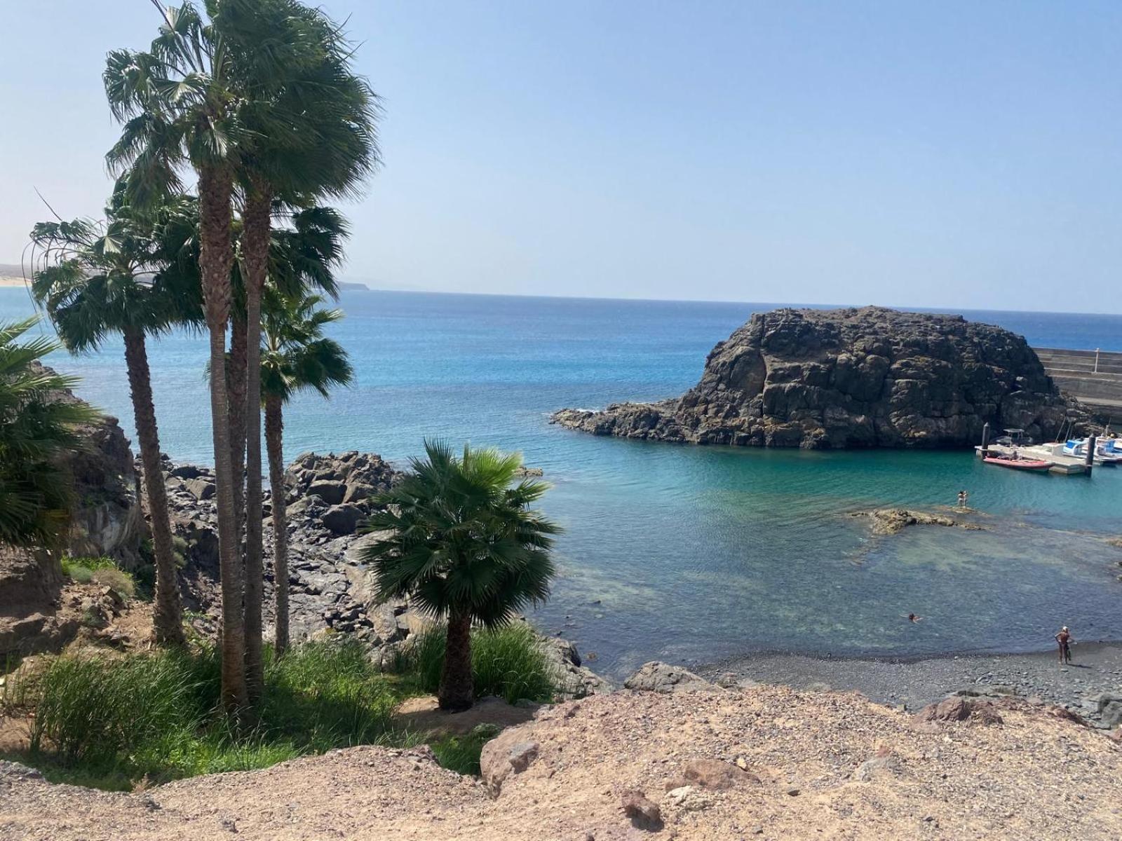 Cotillo