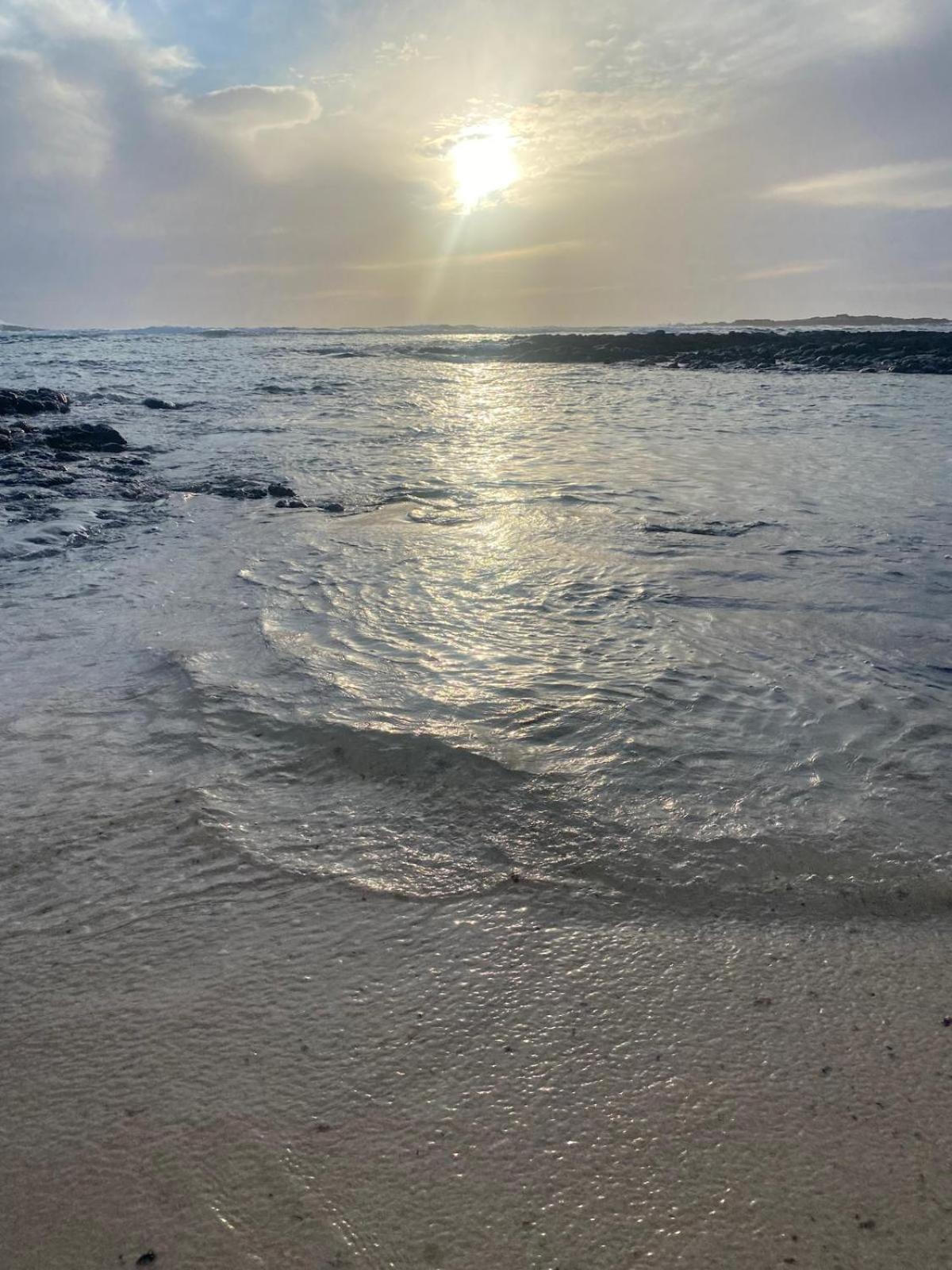 Cotillo