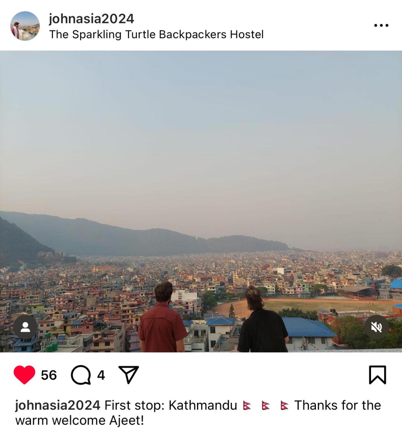 The Sparkling Turtle Backpackers Hostel