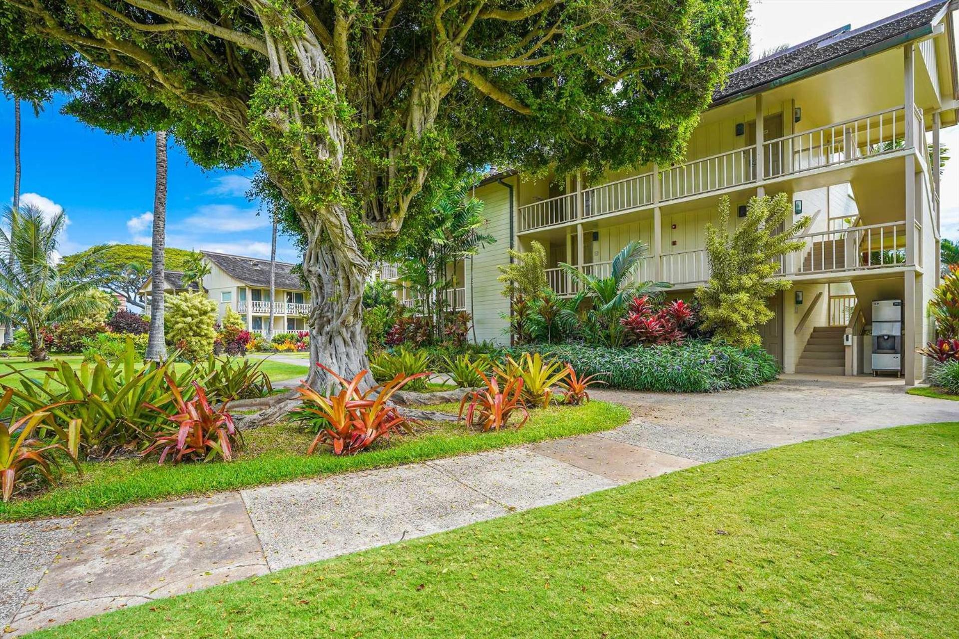 Islander on the Beach 351 view 5