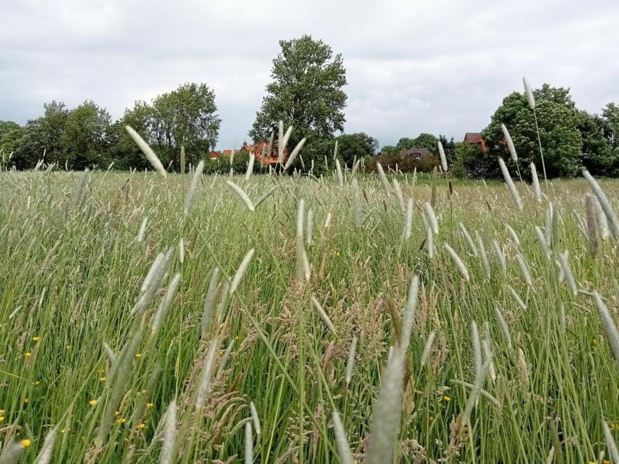 Ferienhaus Landschaft