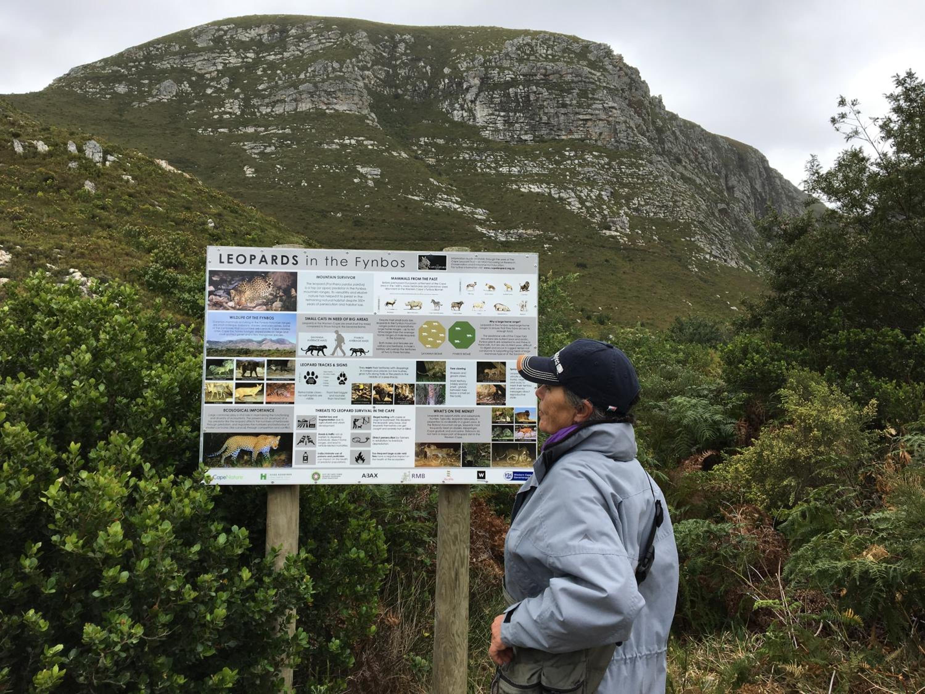 Listening Wind Self-Catering accommodation
