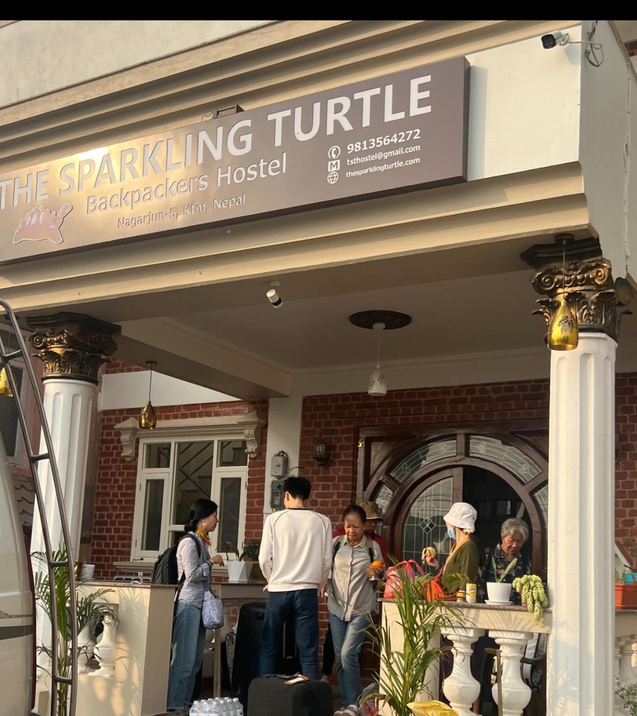 The Sparkling Turtle Backpackers Hostel