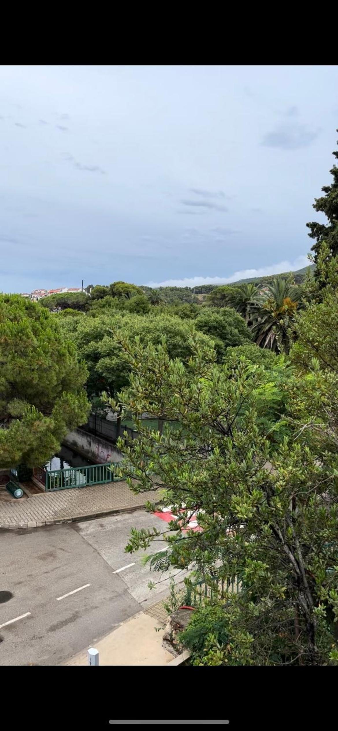 Jelsa Park