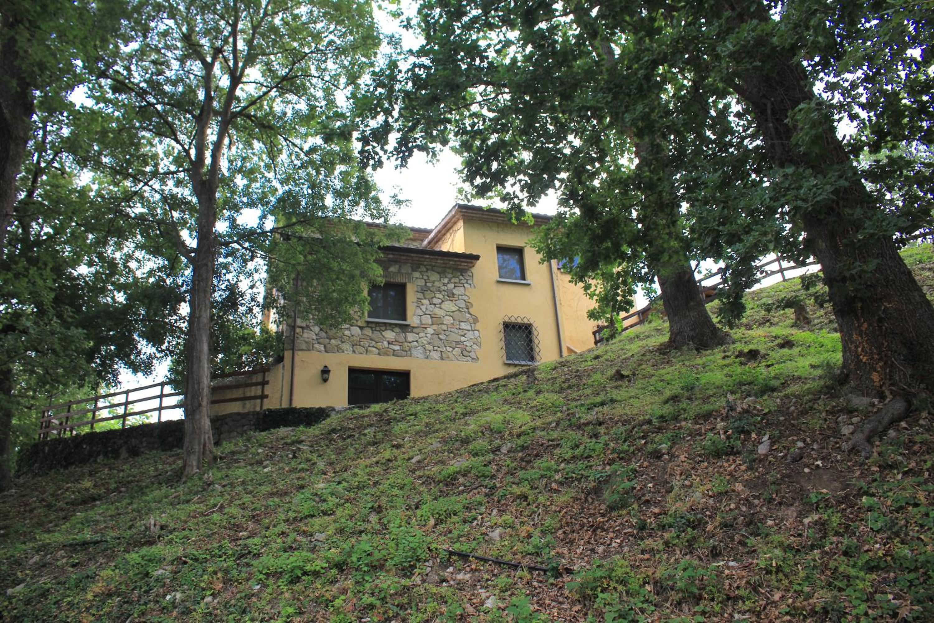Photo 8