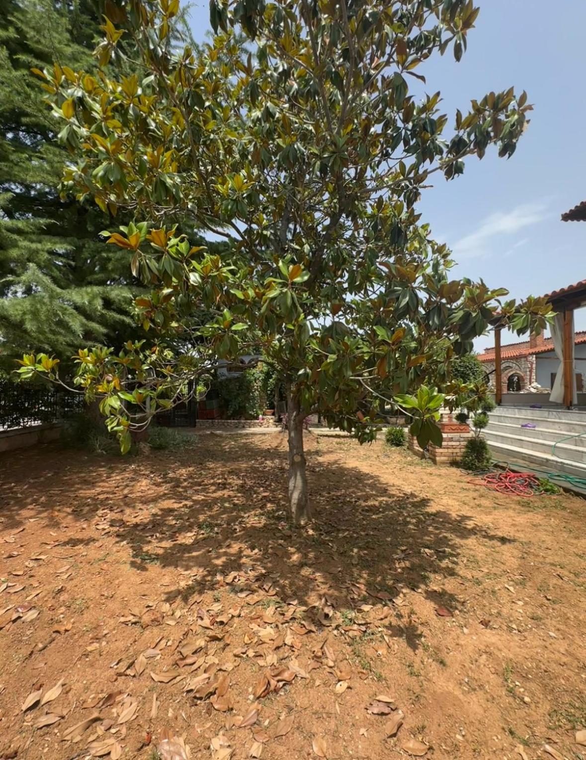 Villa Loksadra