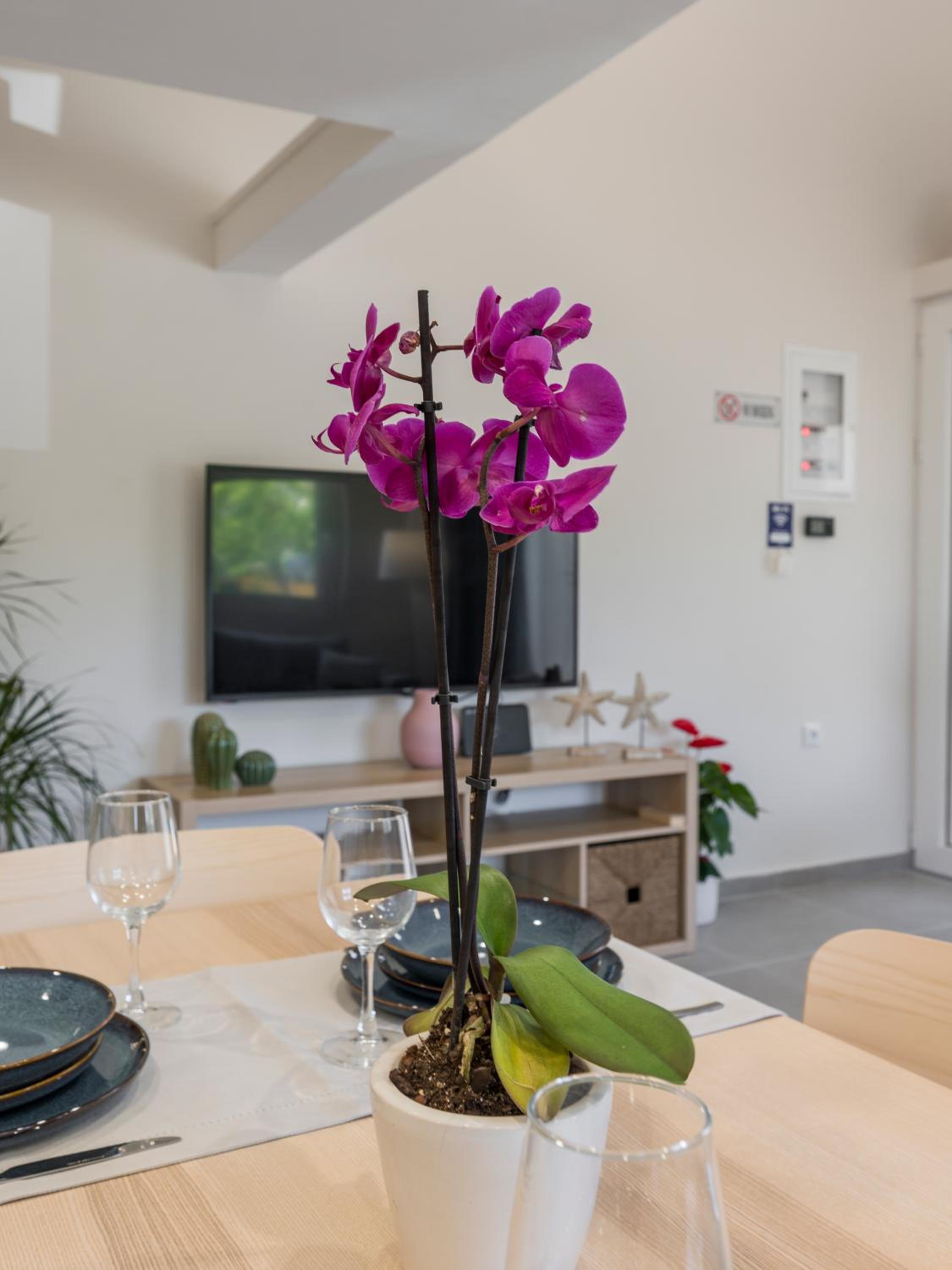 Eranthis Apartment