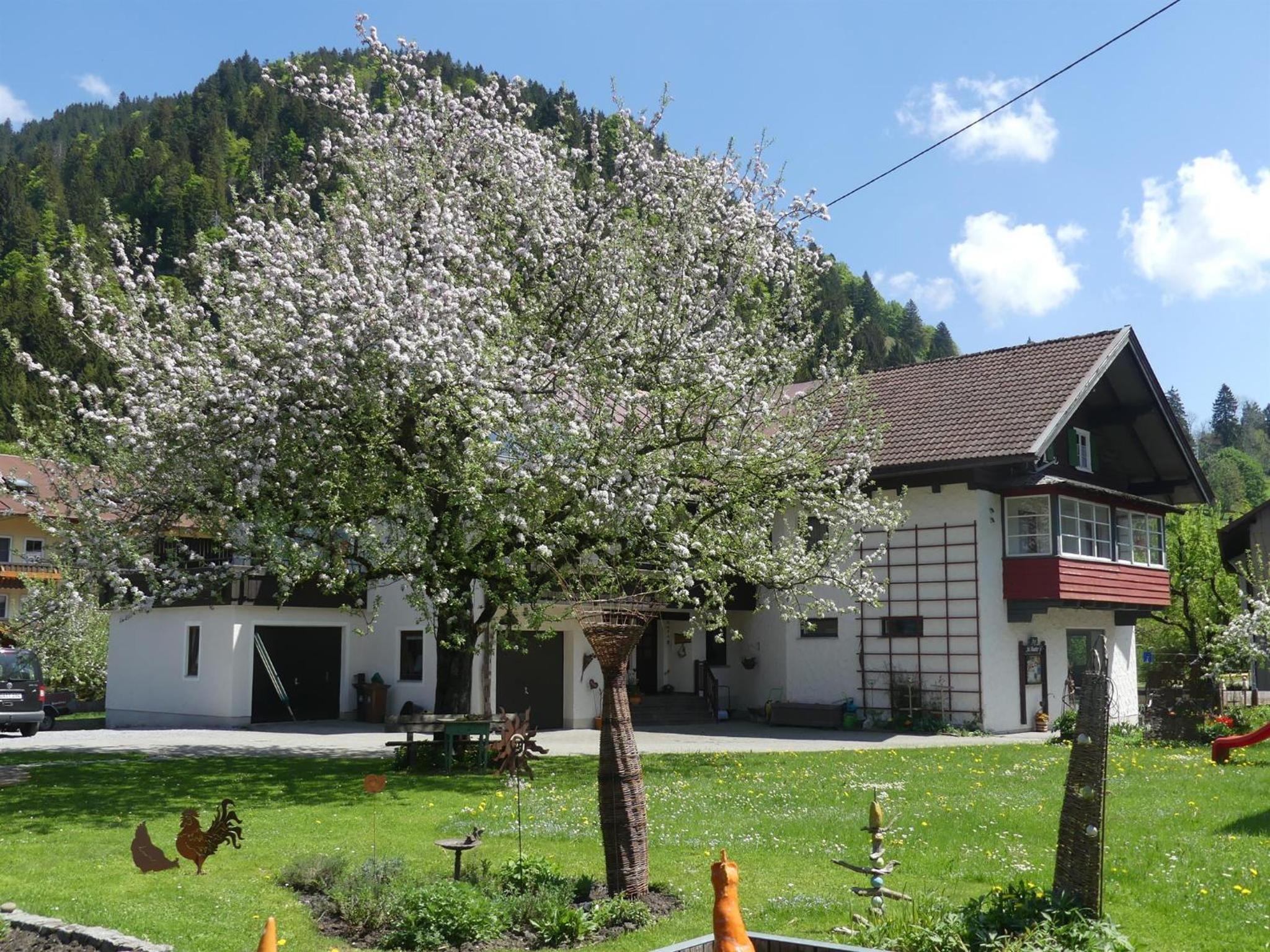 Ferienwohnung bei Hauber's - Property Image 1