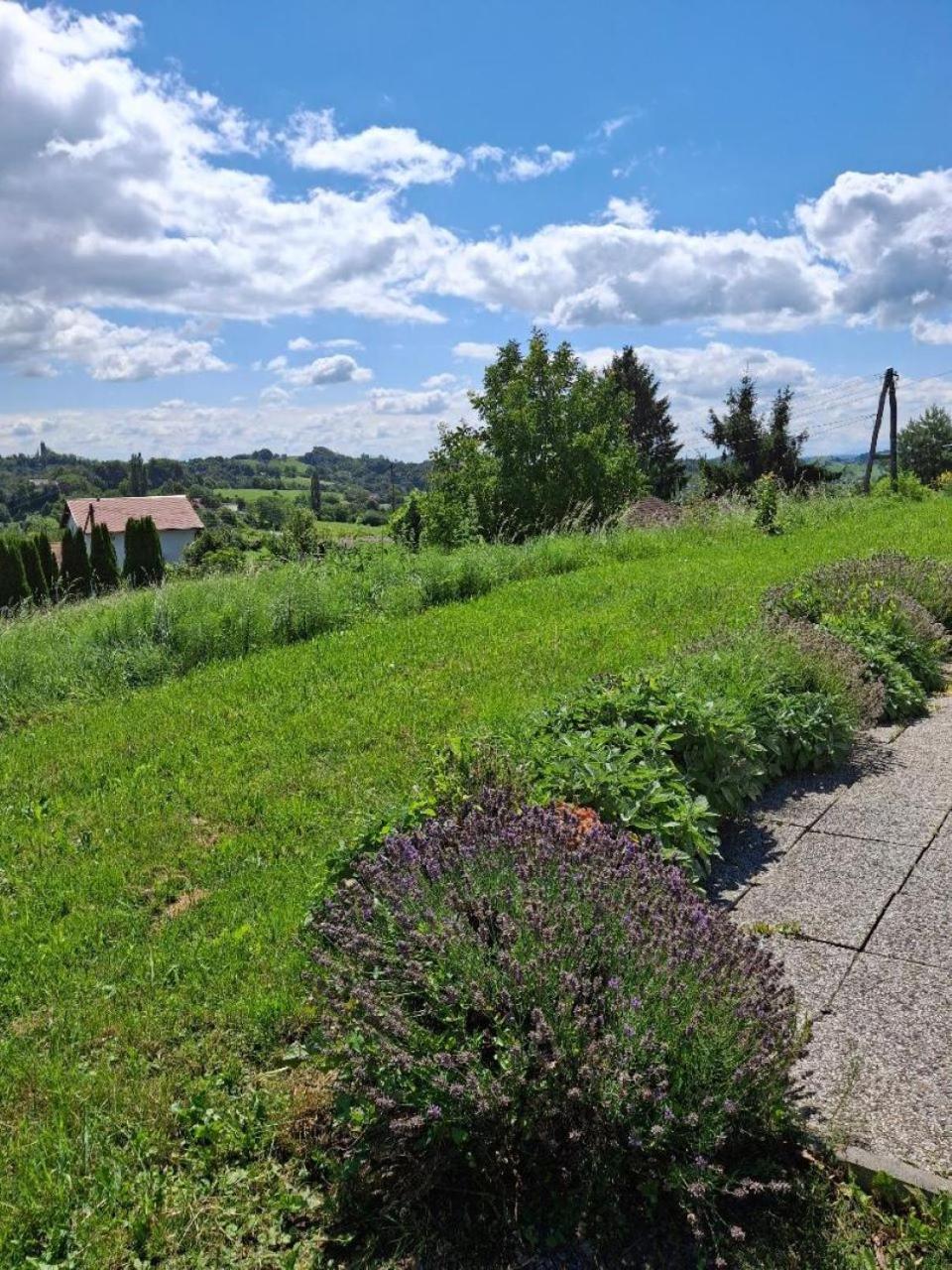 Apartma Grlica