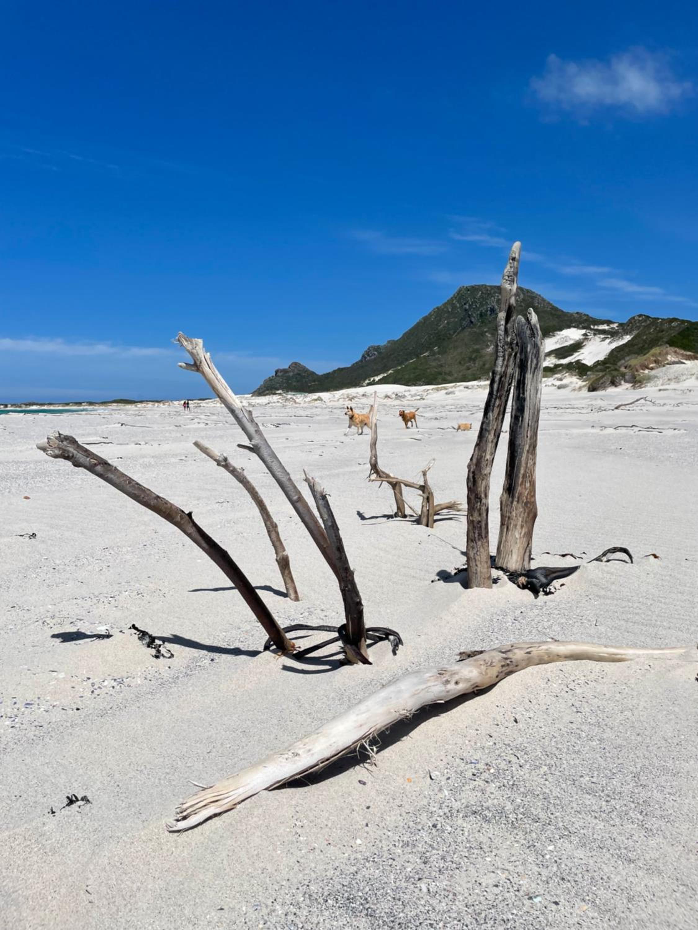 Listening Wind Self-Catering accommodation