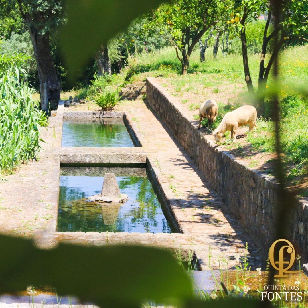 Quinta das Fontes view 2