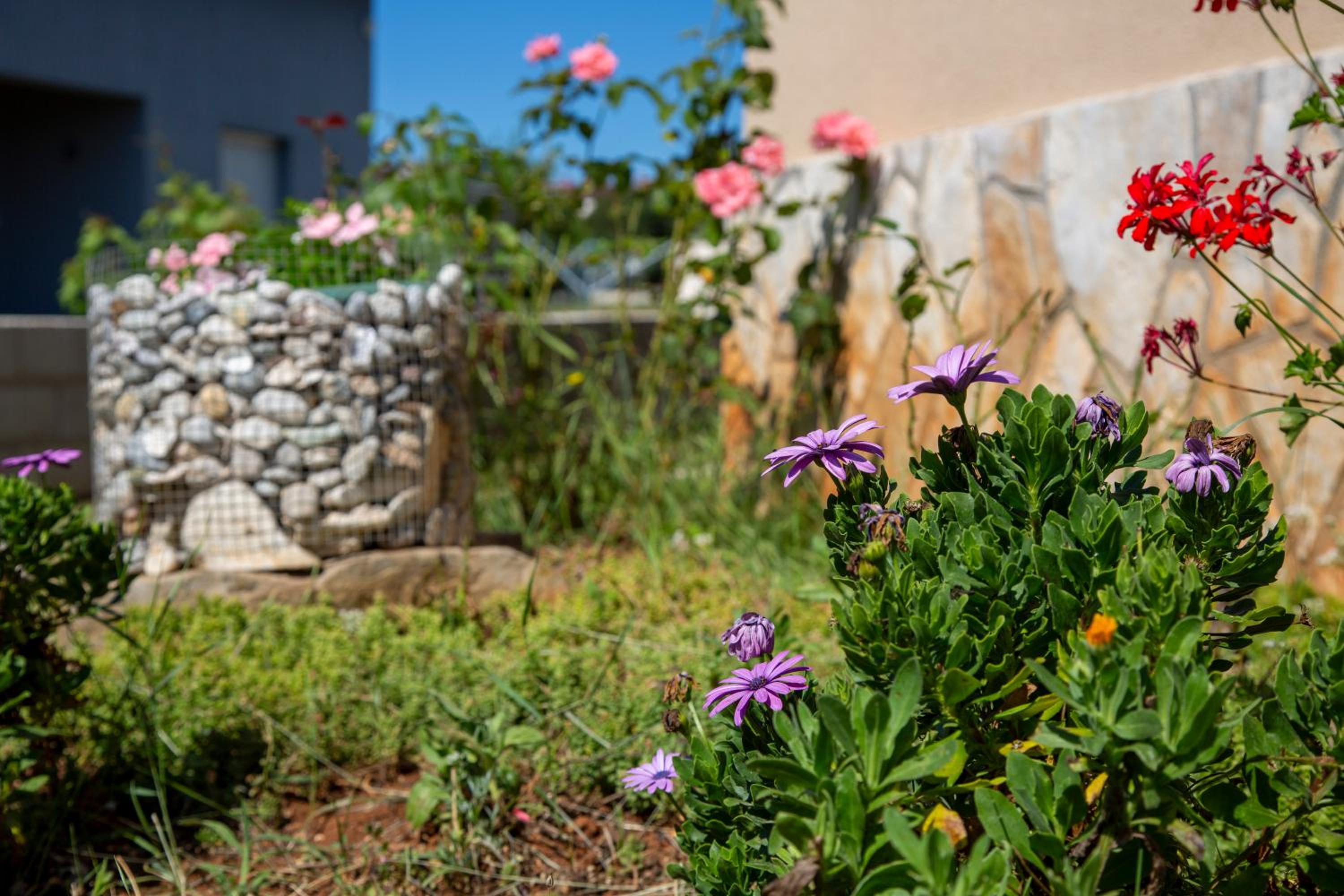 Apartman Viki Štinjan