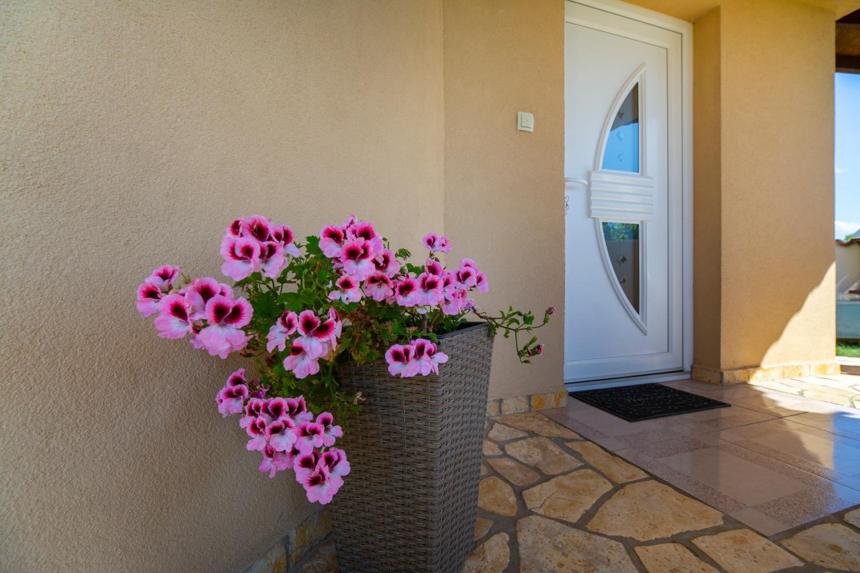 Apartman Viki Štinjan