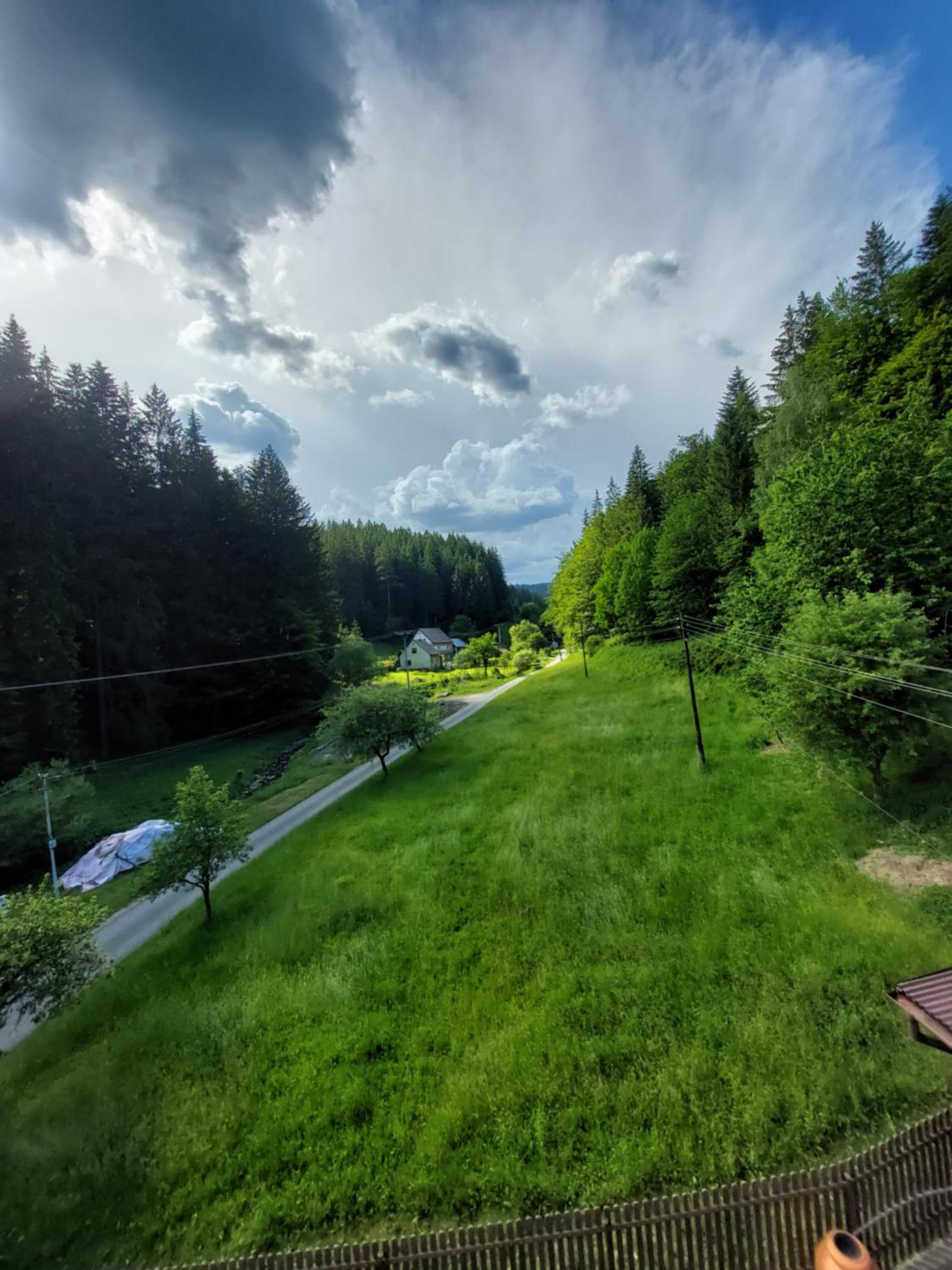 Only Meadow - place for camping view 2