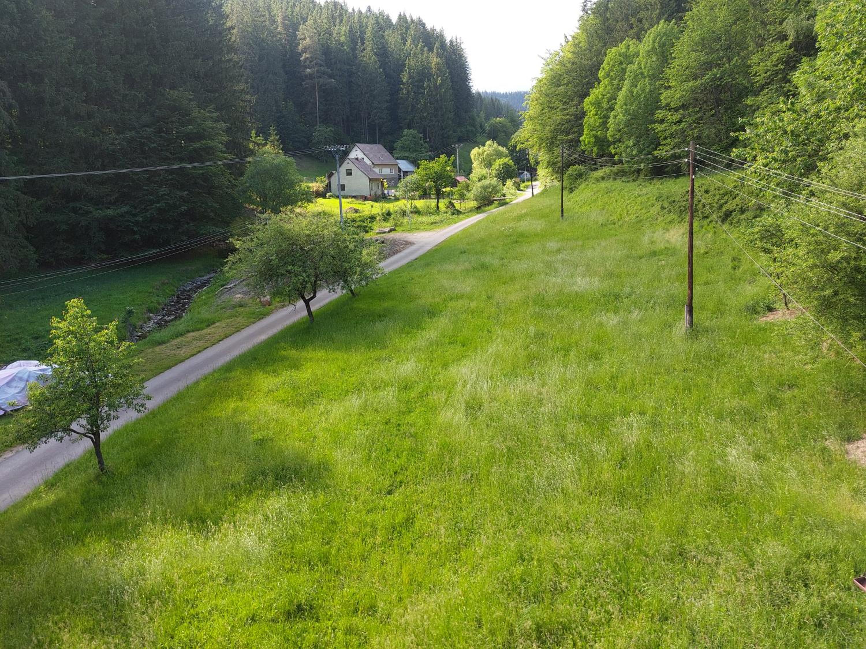 Only Meadow - place for camping view 4