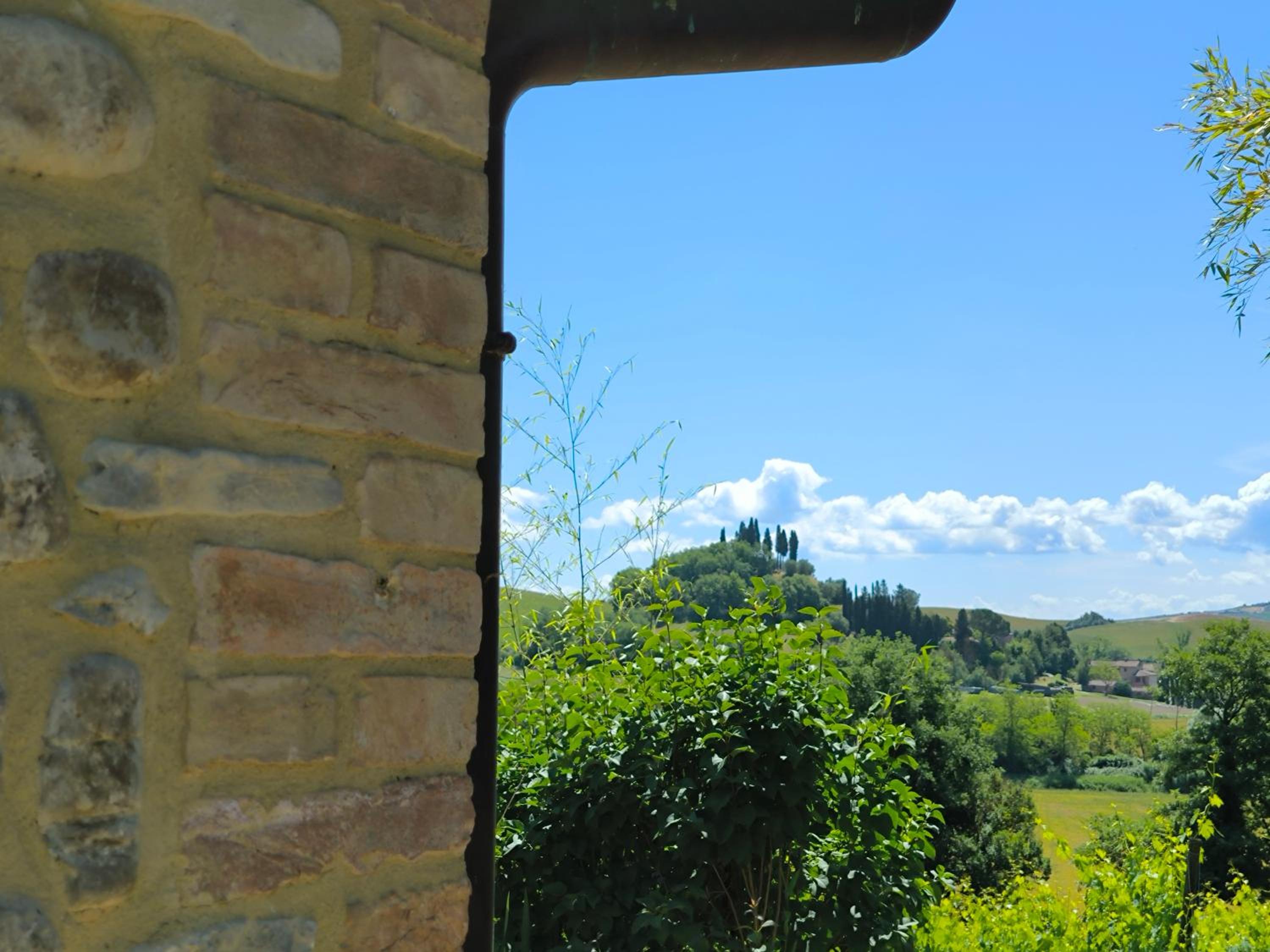 La casina nella fattoria view 3