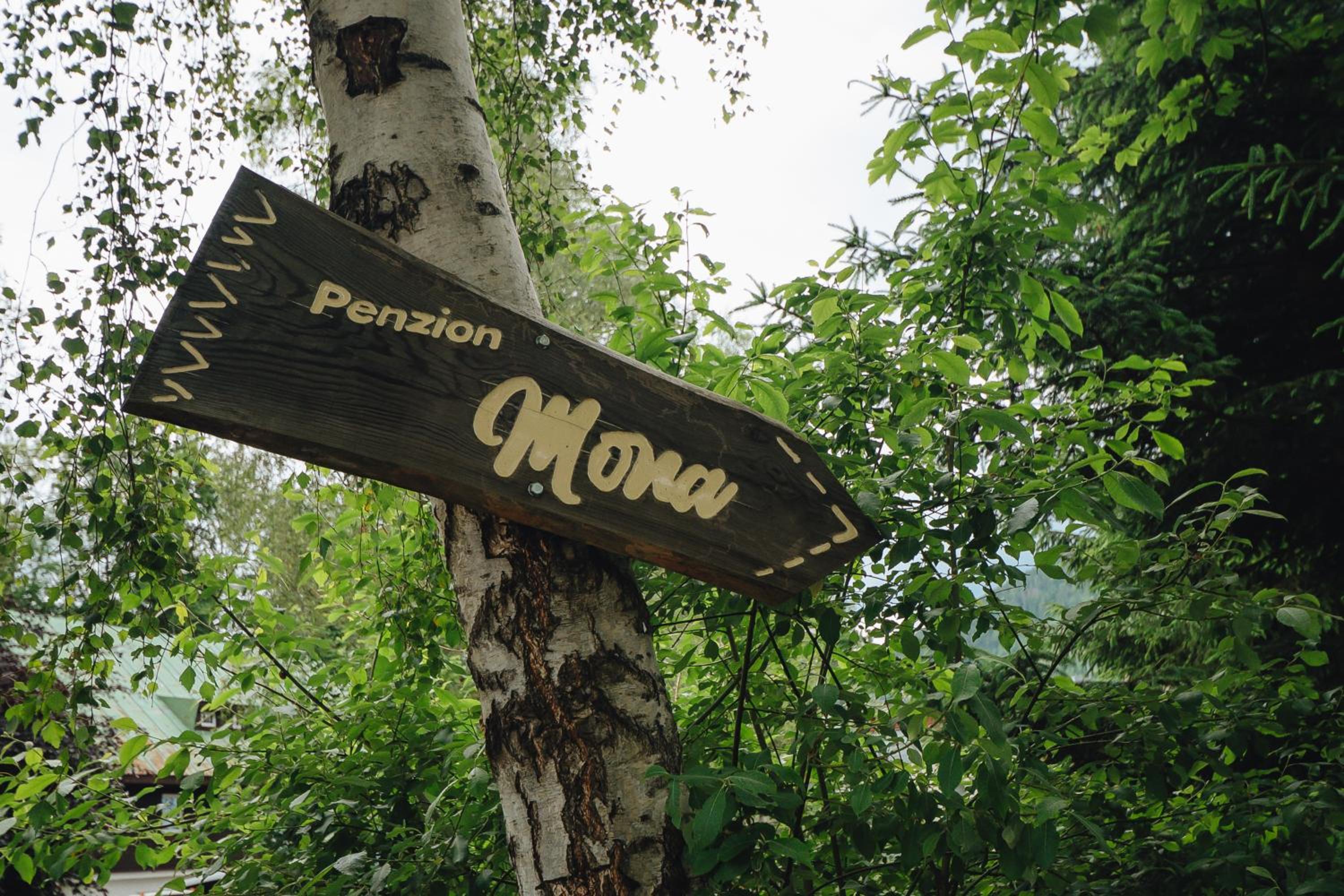Pension Mona