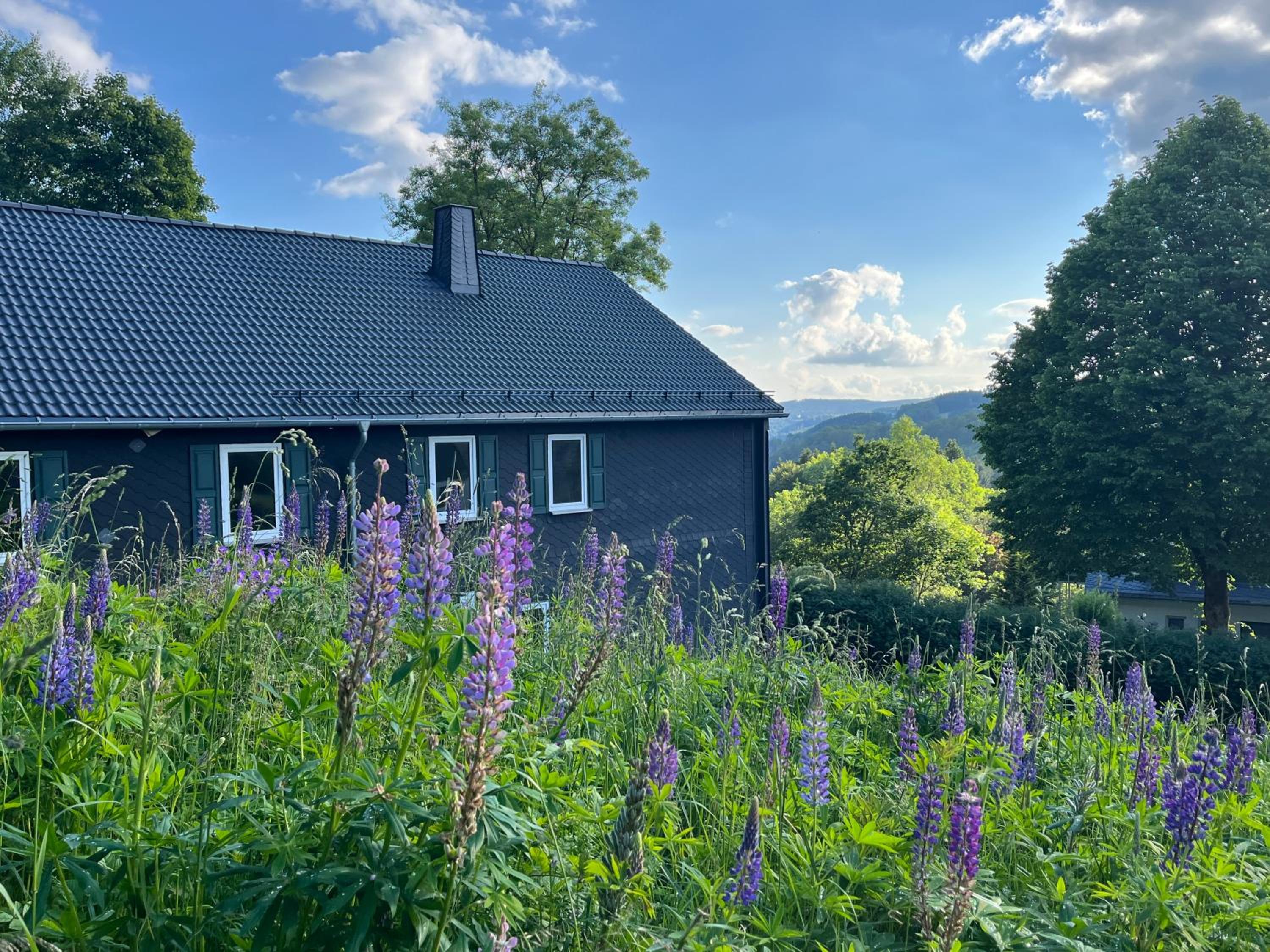 Familienurlaub pur III KINDER UND JUGENDLICHE bis 17 frei III HUND willkommen III SAUNA im Haus III Natur direkt vor der Tür III nah an Winterberg für Ski 