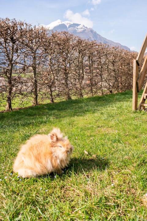 Cottage Casa Felice