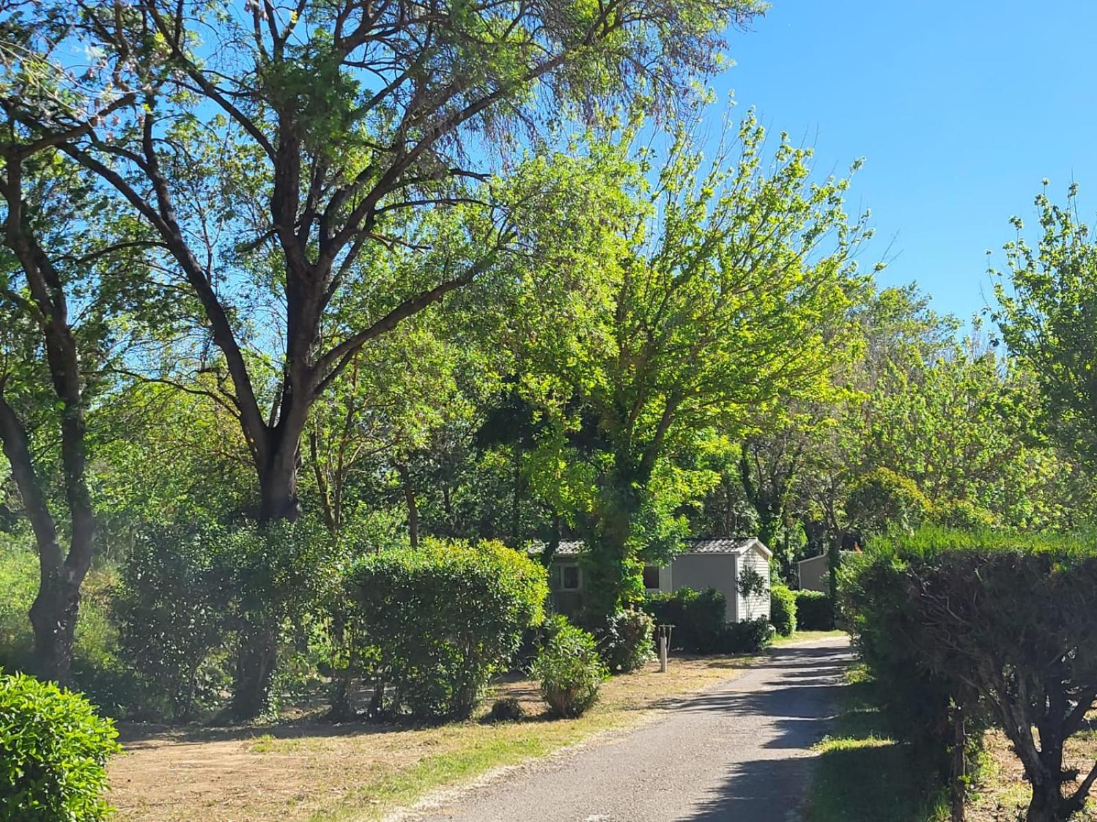 Camping Le Val de Cesse