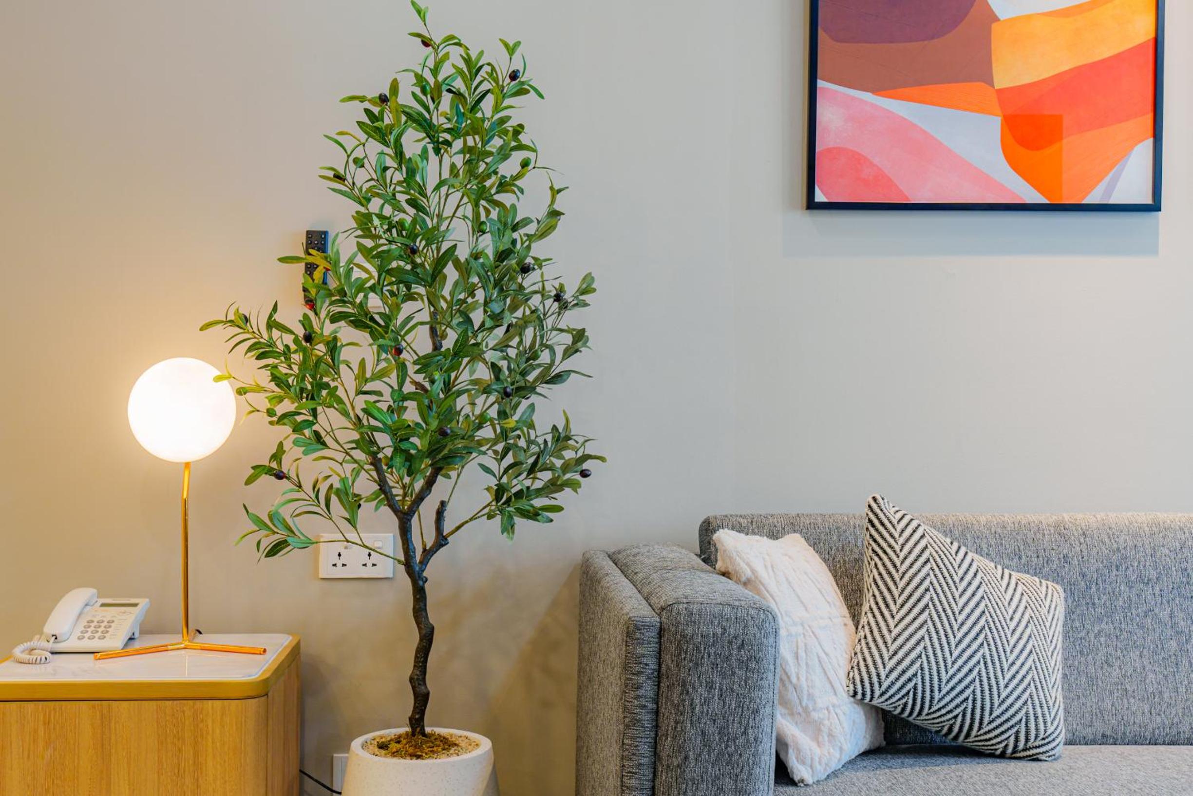 Urban Oasis 3 Bedroom 2 Bathroom in the heart of Saigon