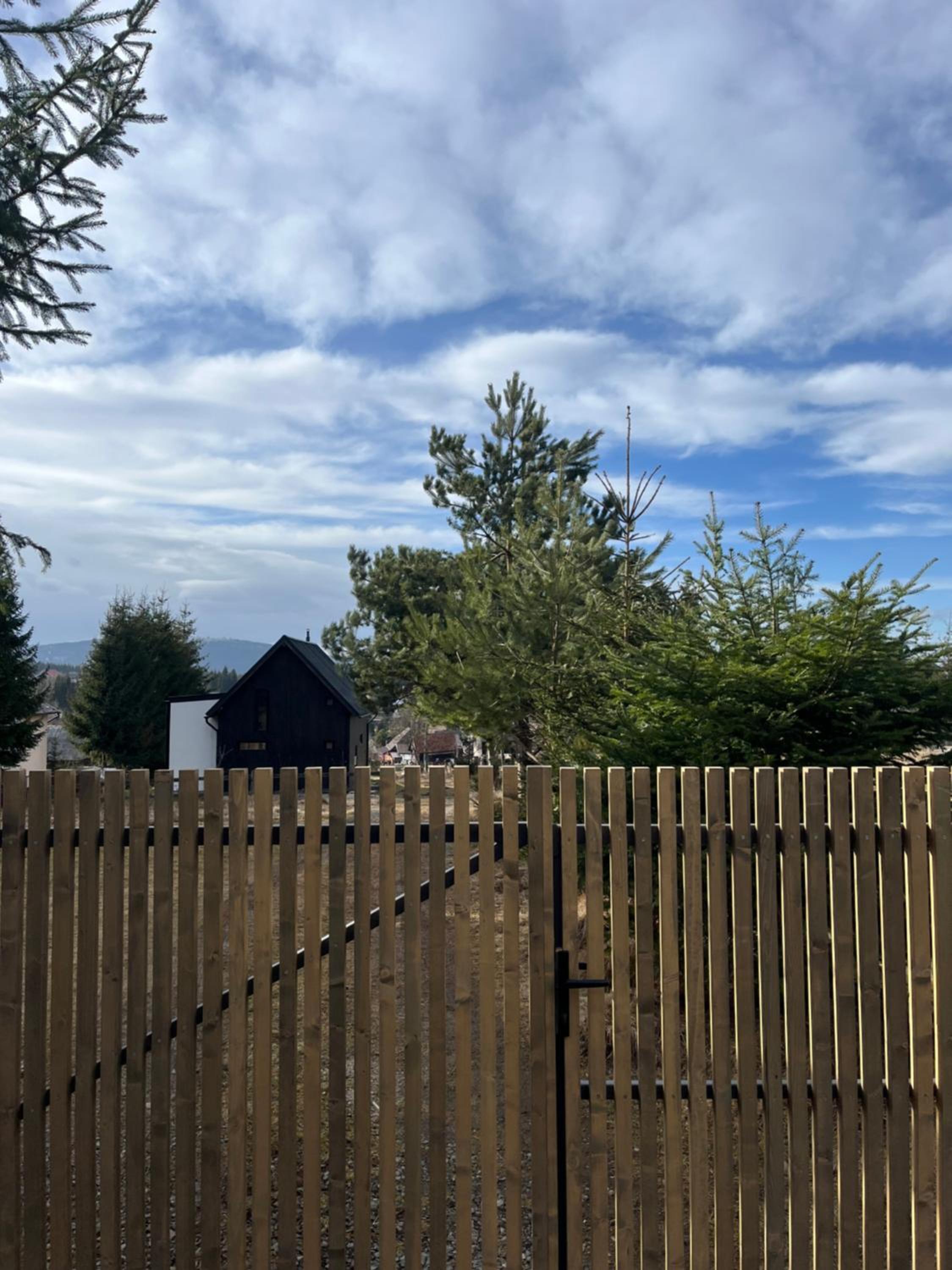 Cabana Neagră view 4