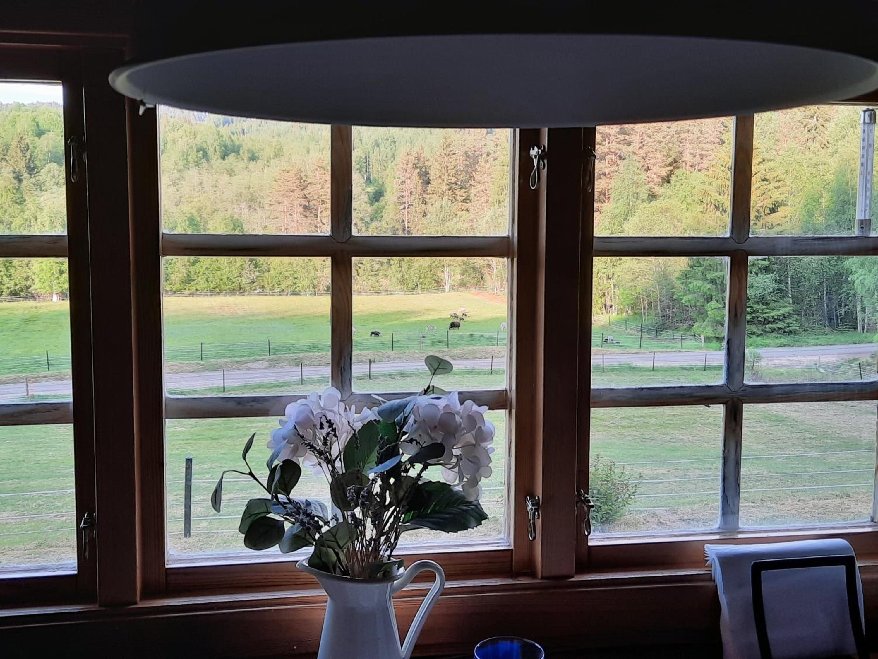 Gemütliche Blockhütte für Auszeit in Torsby auf einem Bauernhof view 3