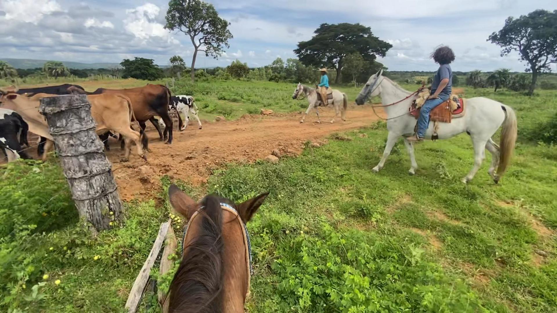Hotel Fazenda SERRA NEGRA - Terra Ronca
