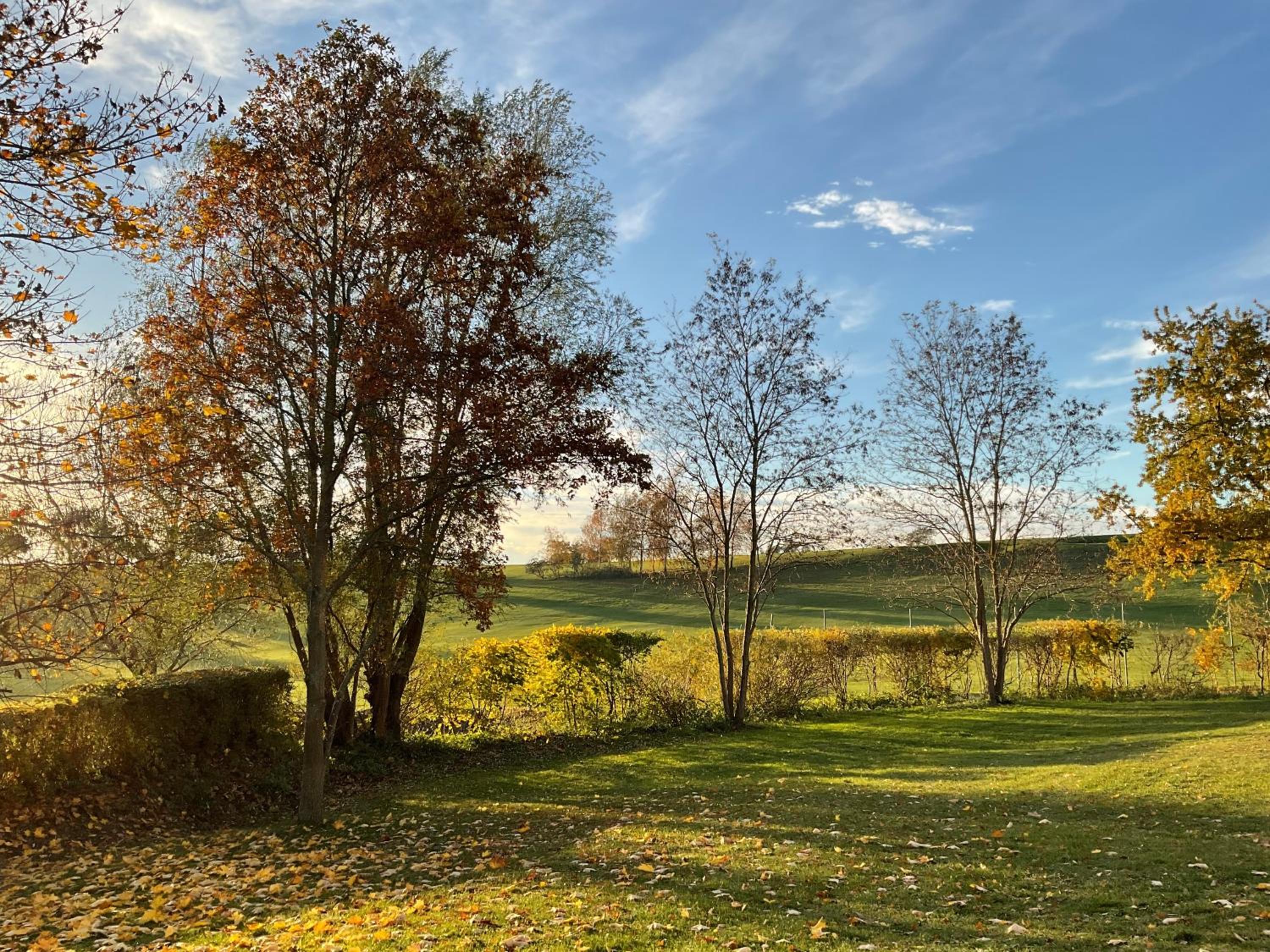 Ferienwohnung Werth am Balmer See ab 4 Nächte