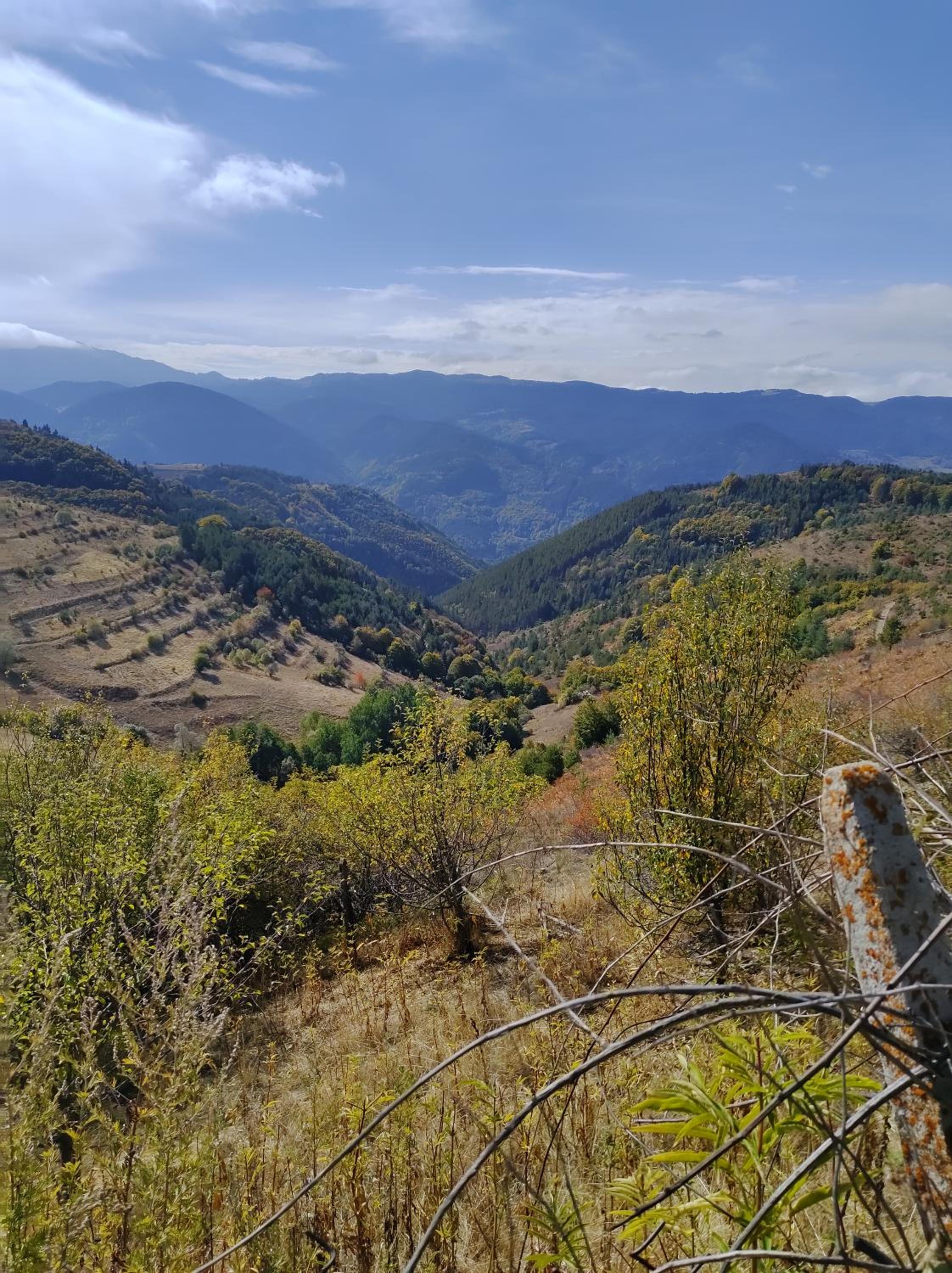 Музикалната къща