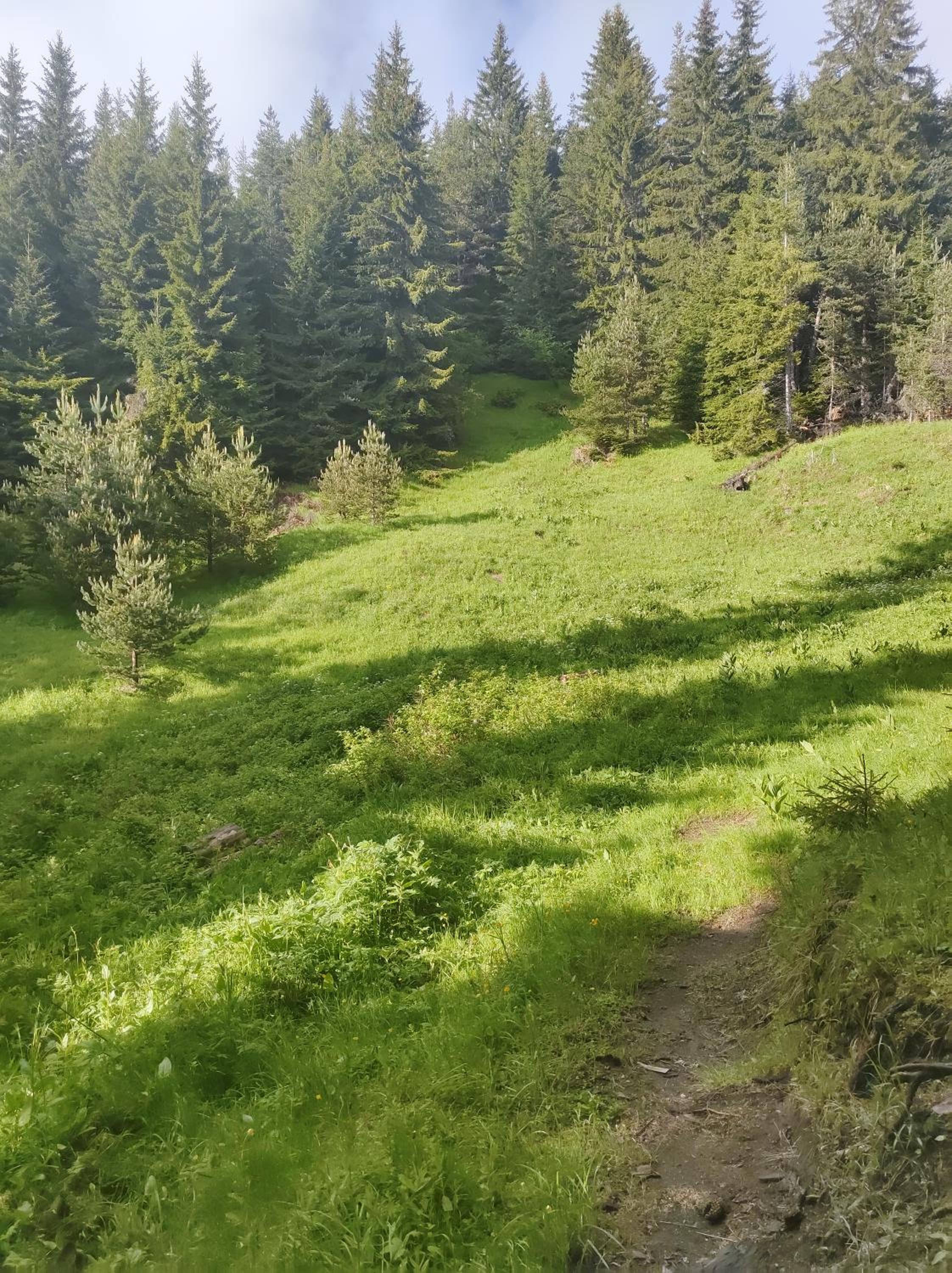 Музикалната къща