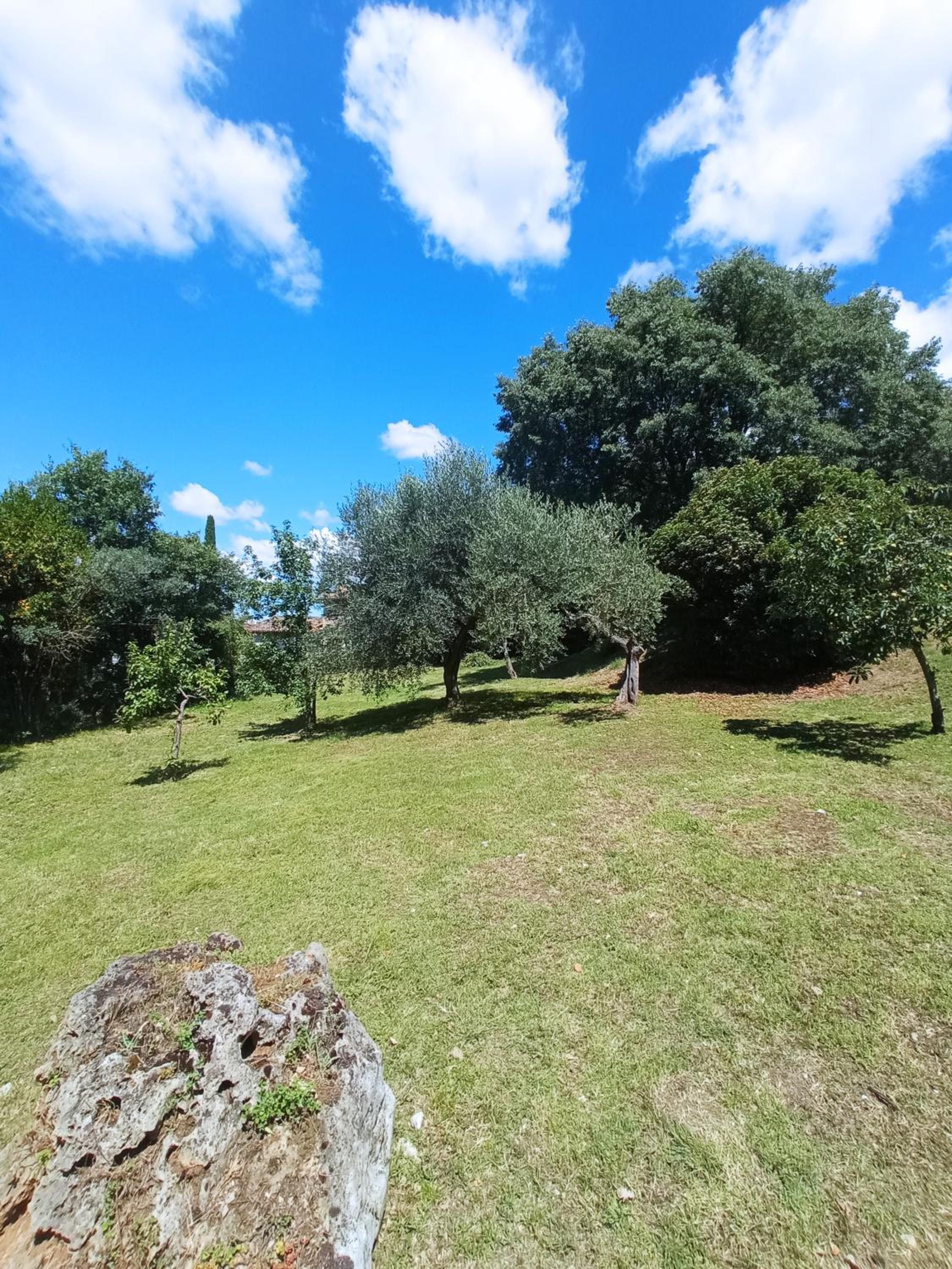 All'Ombra di San Damiano