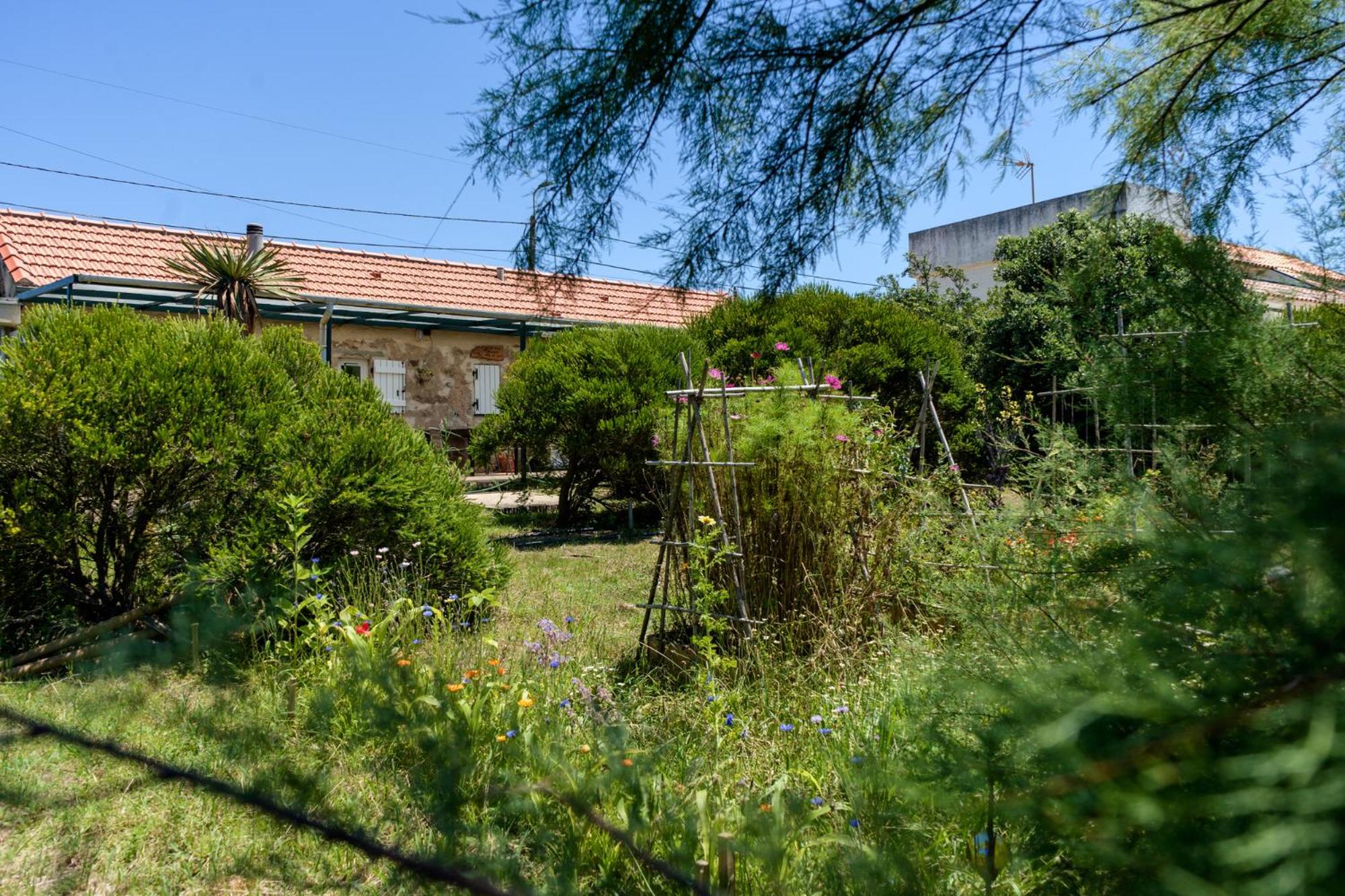 Photo 26