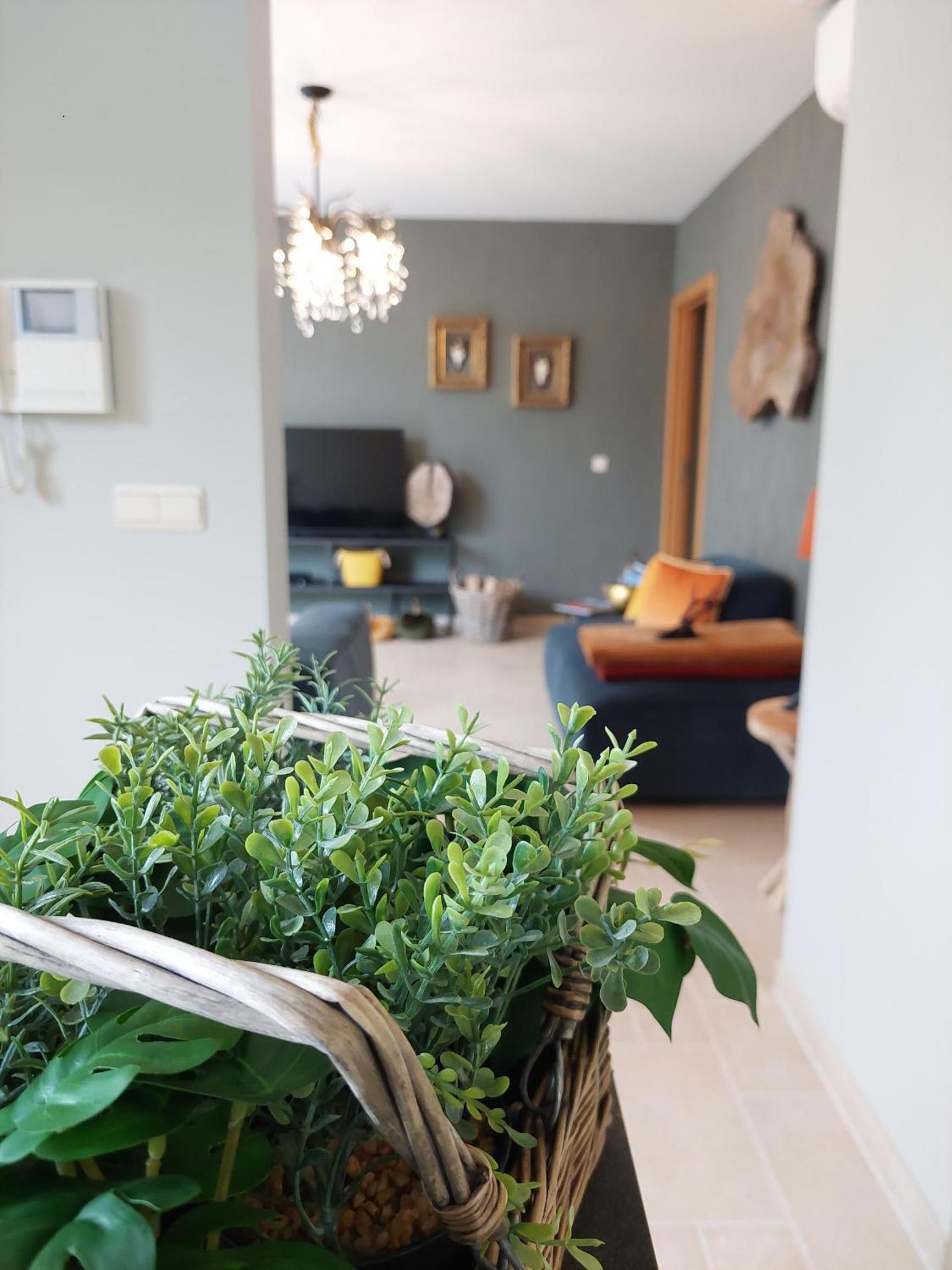 Cha Cha de Loup Luxe B&B - Vakantiewoning
