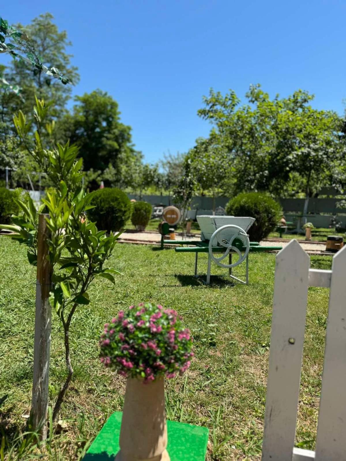 Didvela Villa