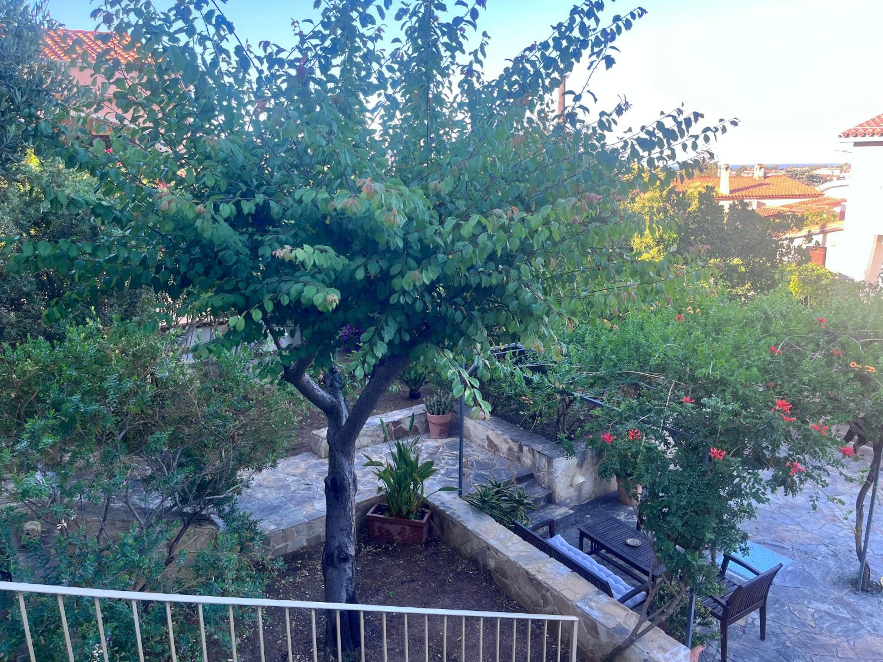 Villa Fatta di Sogni photo 4