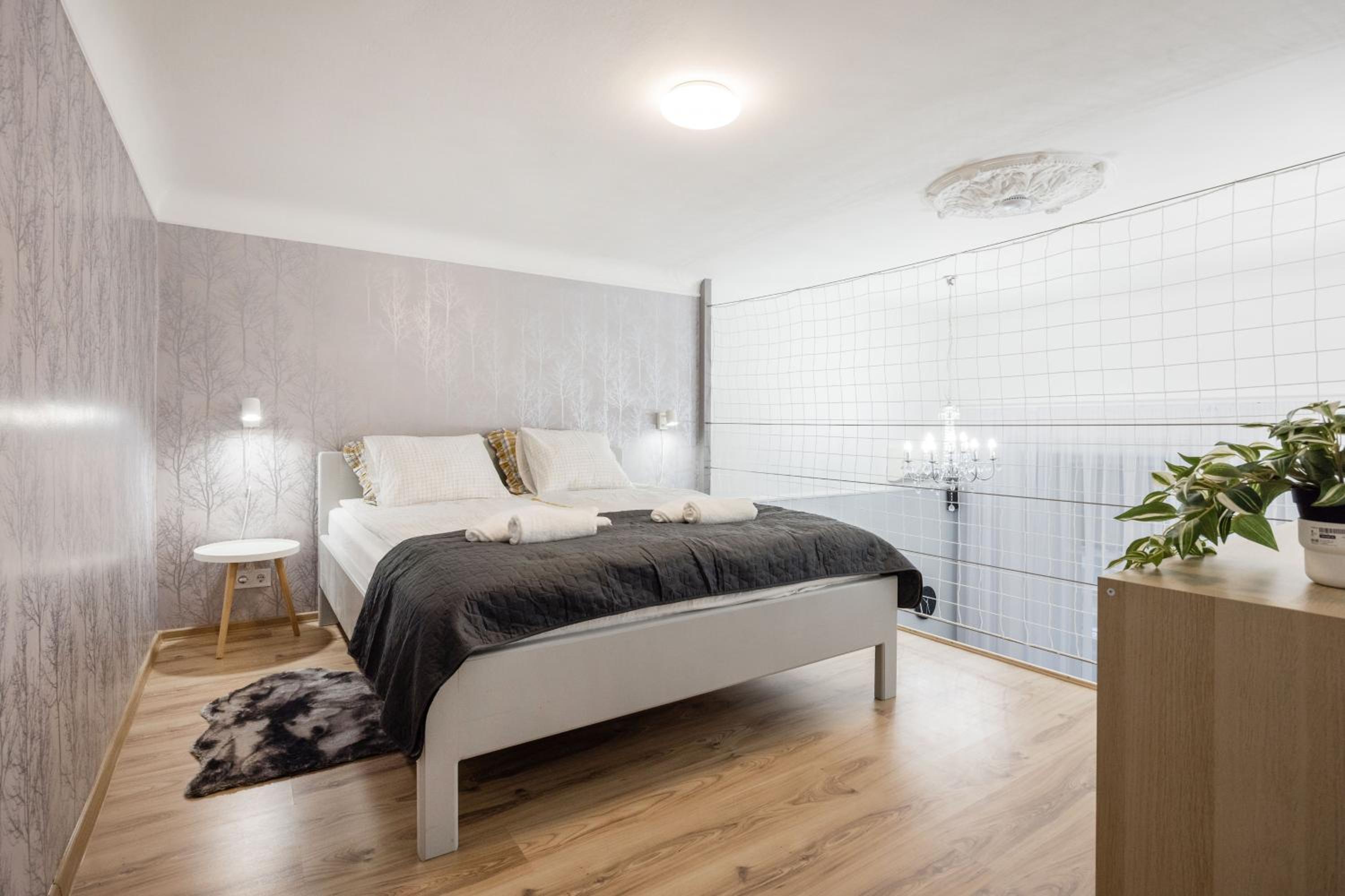 Spacious and charming apartment in the centre view 5
