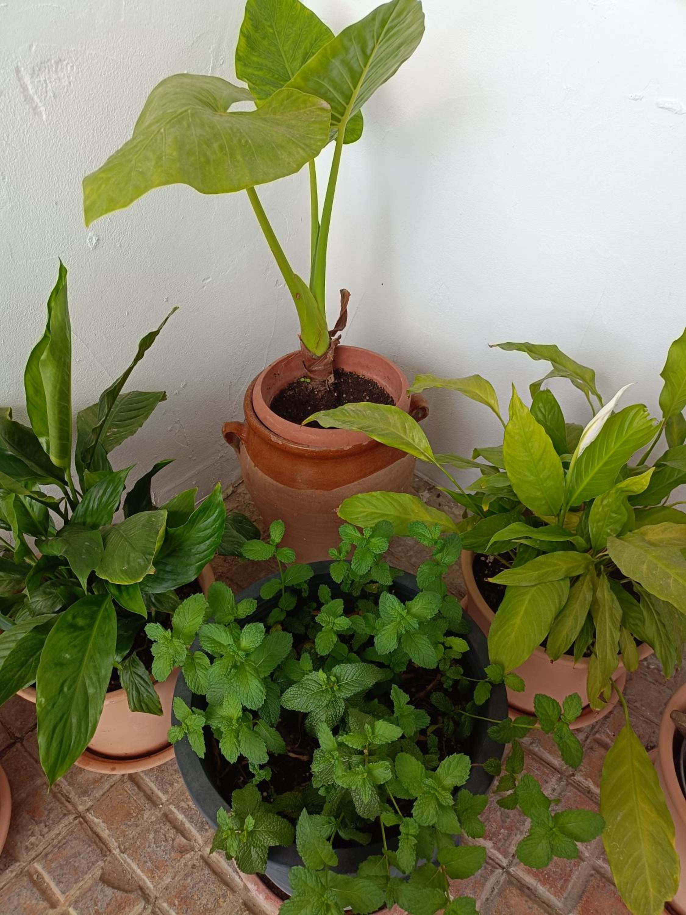 Lacasadelcuartel
