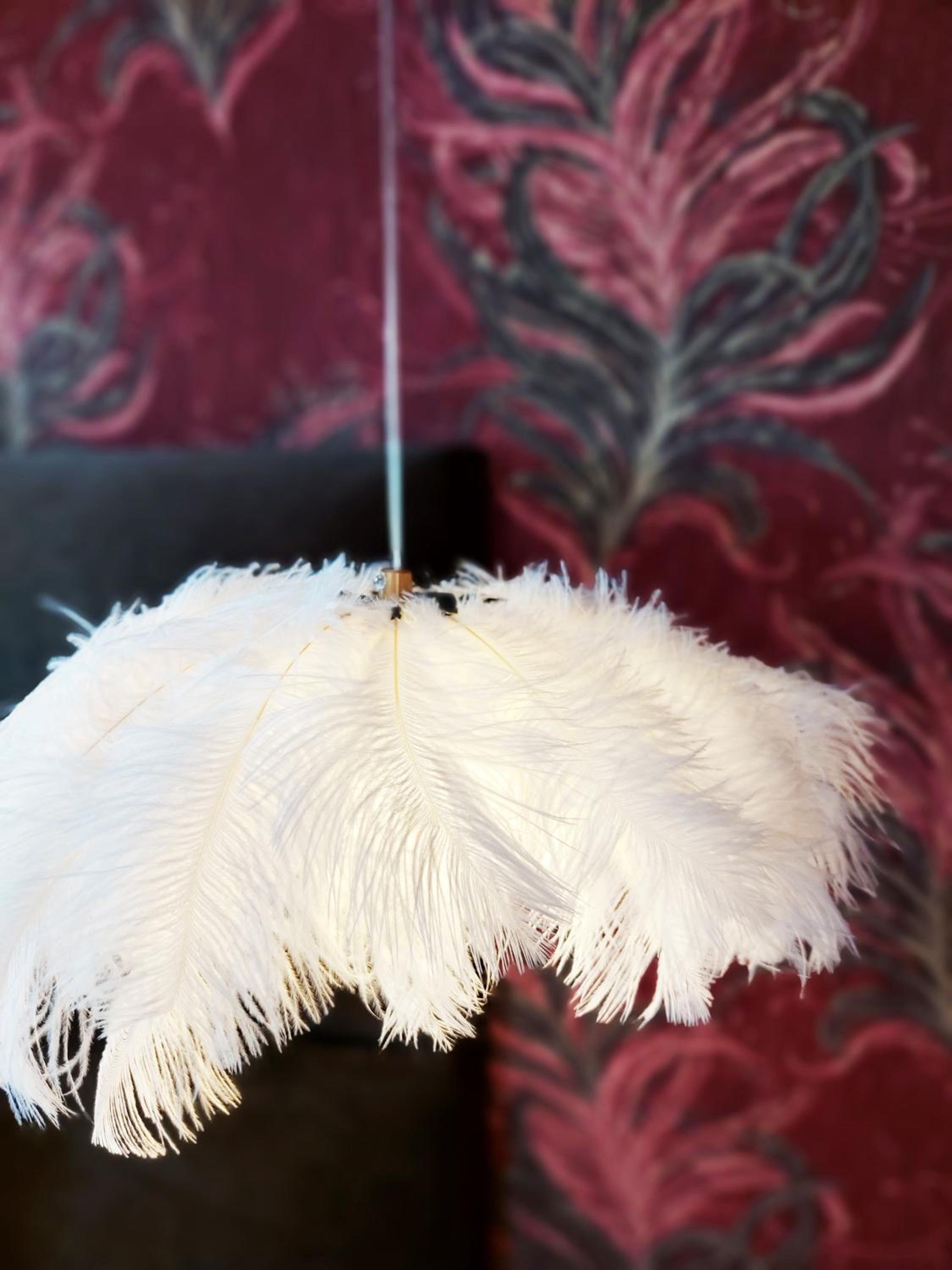 Cha Cha de Loup Luxe B&B - Vakantiewoning