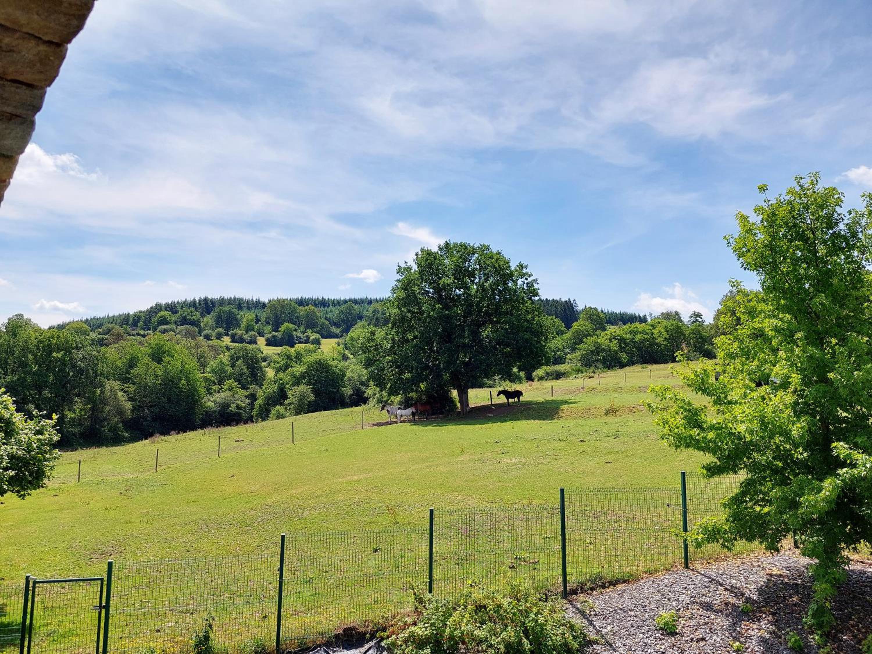 Cha Cha de Loup Luxe B&B - Vakantiewoning