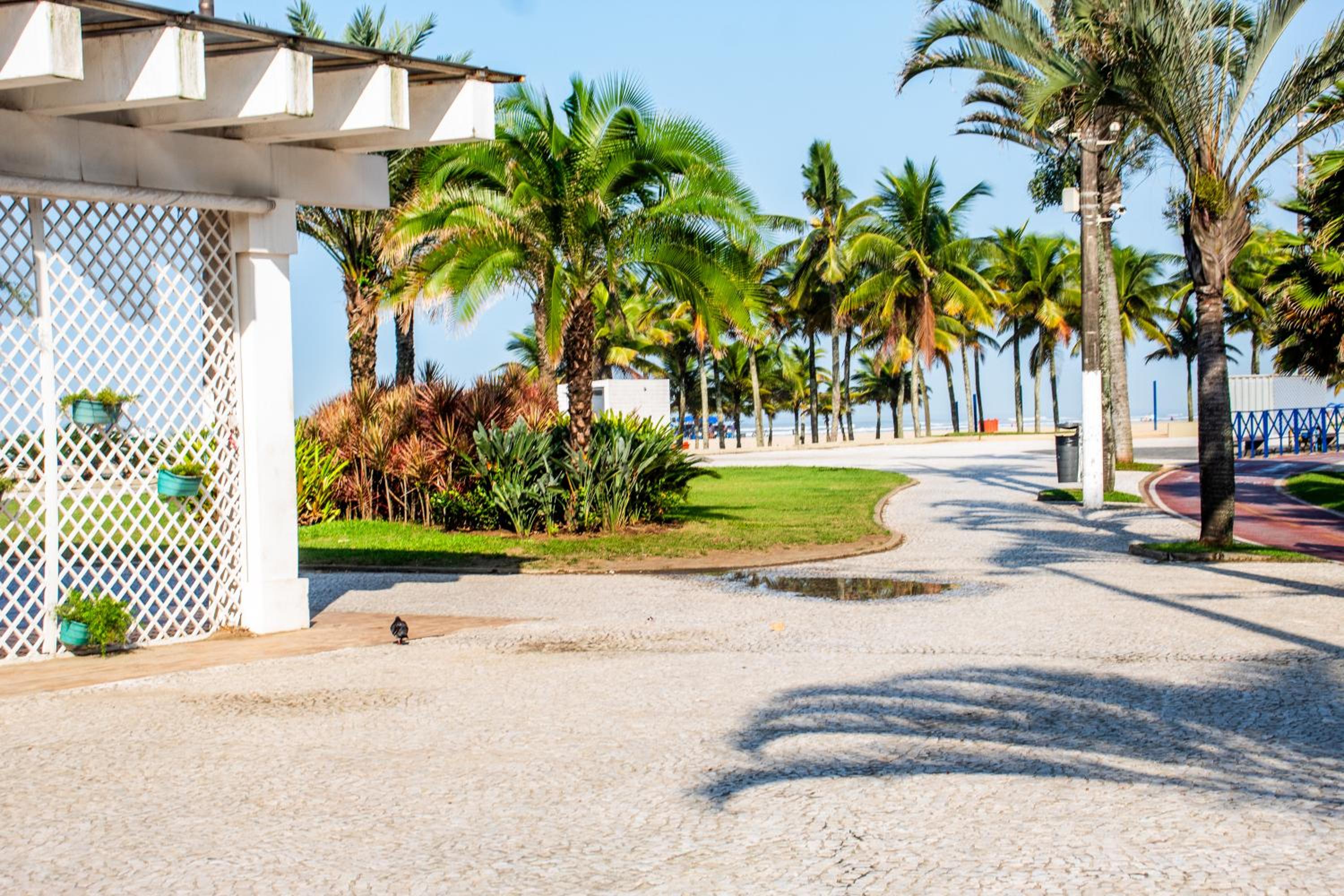 Apto Praia Grande (Guilhermina)