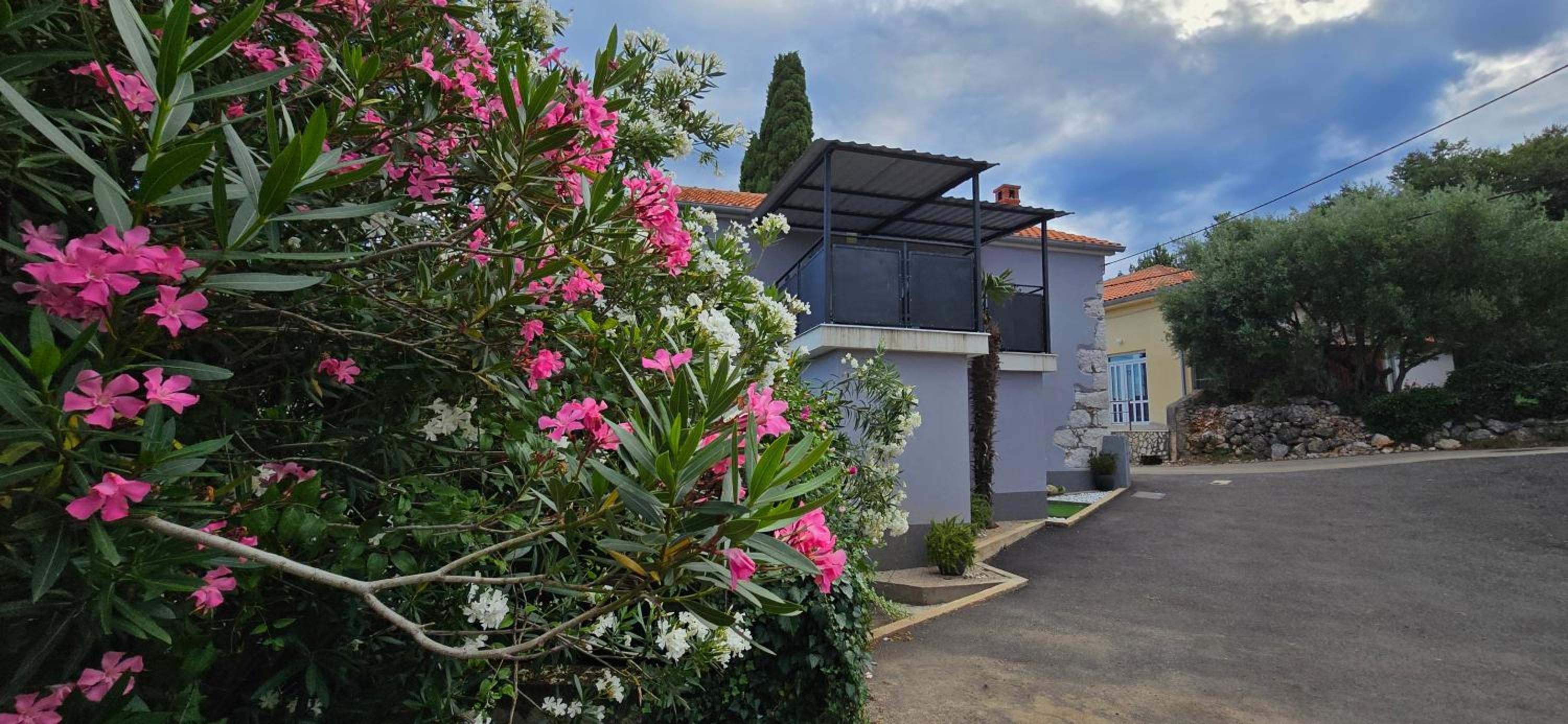 Villa Lavanda