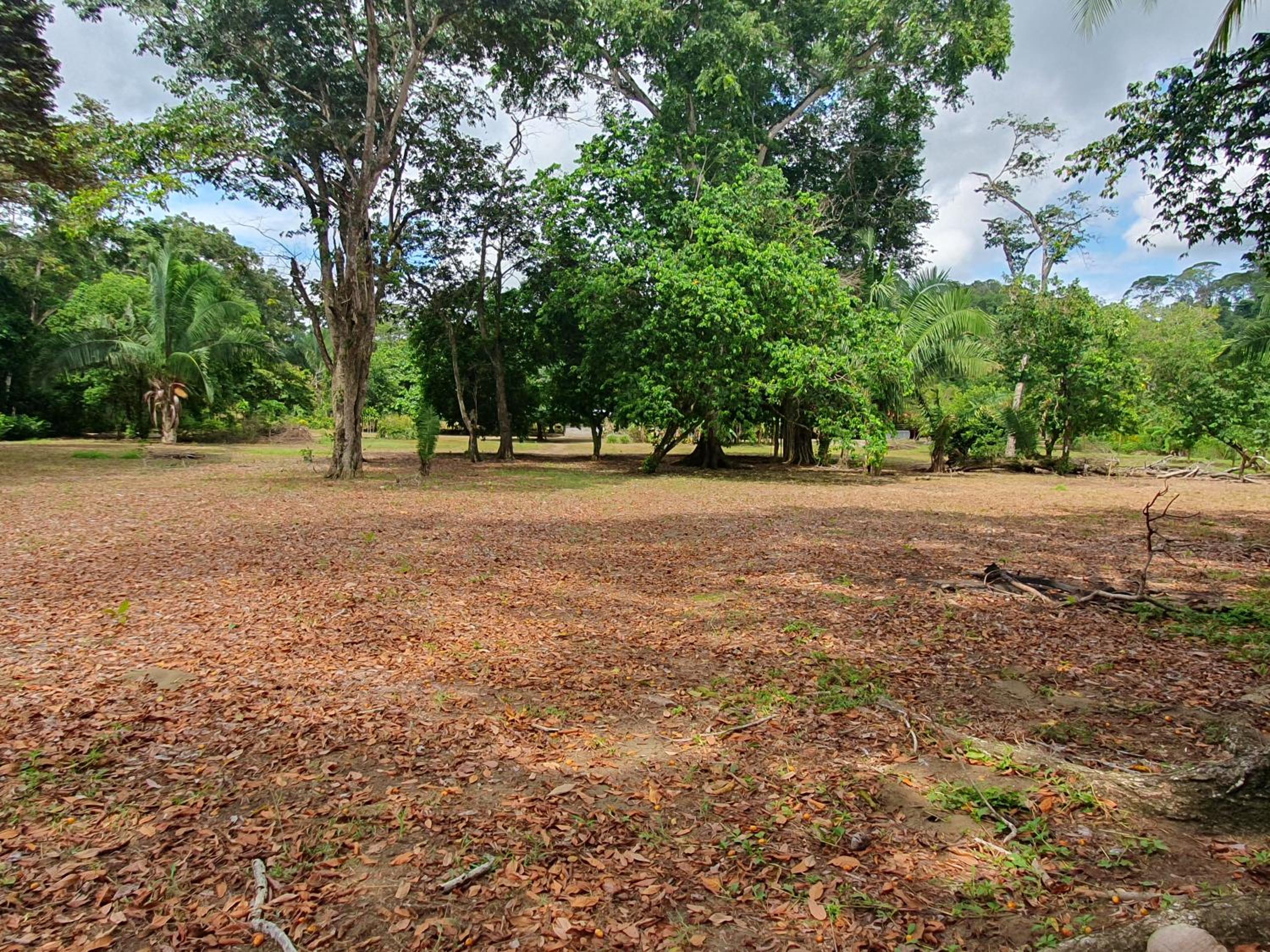 Manzanillo Ecolodge