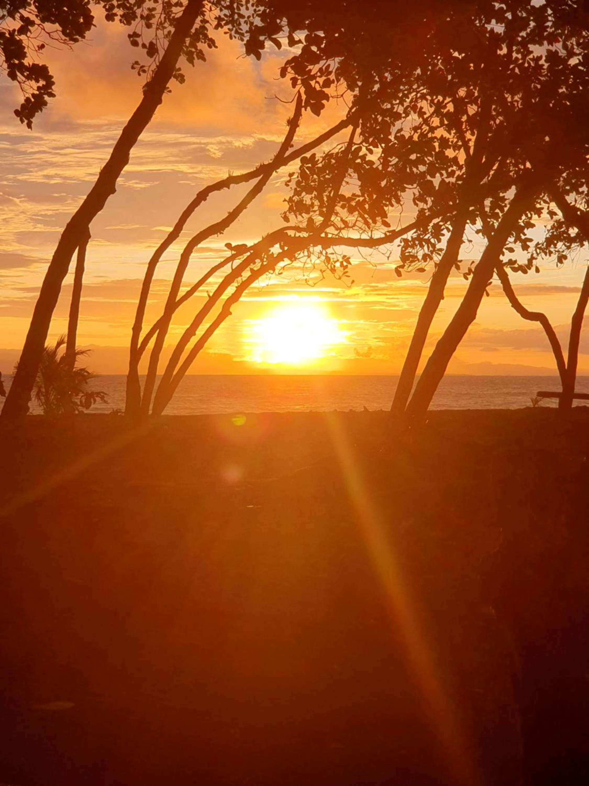 Manzanillo Ecolodge