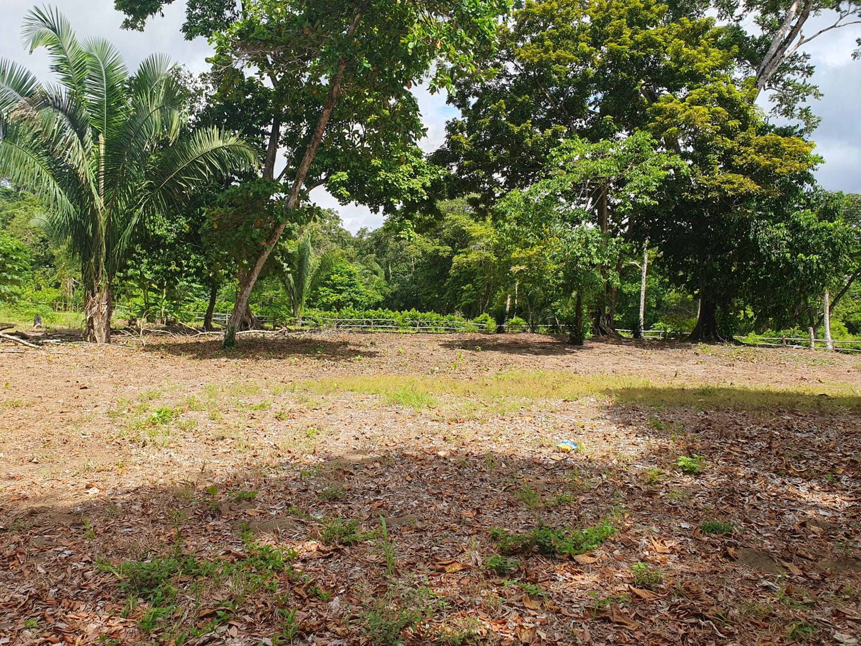 Manzanillo Ecolodge
